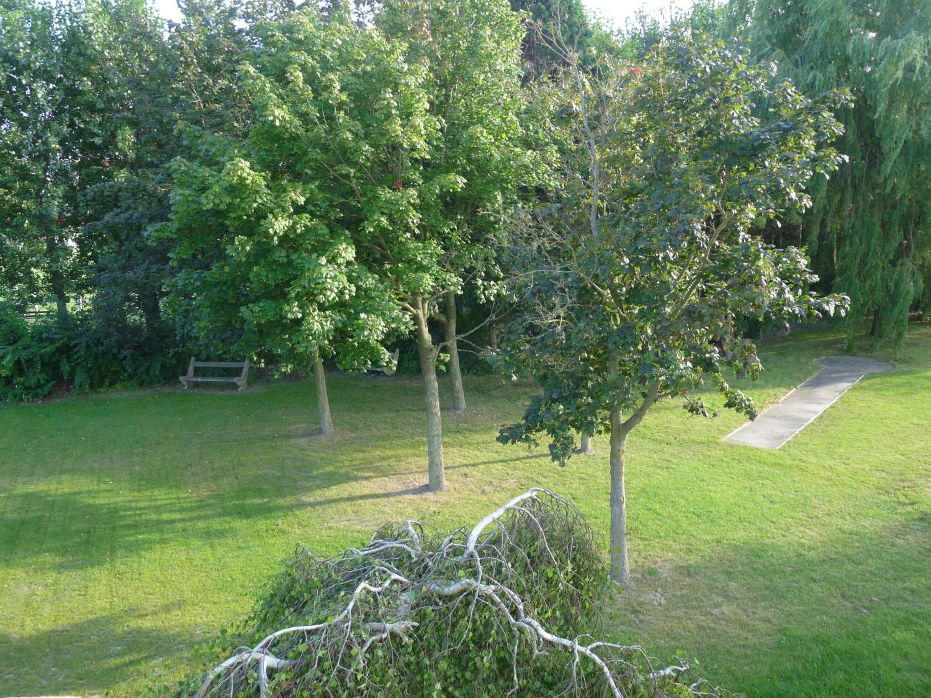 children's play area