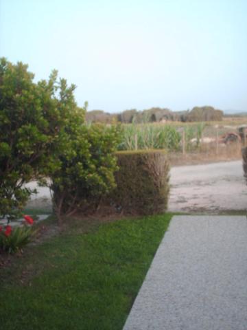 Photo 32