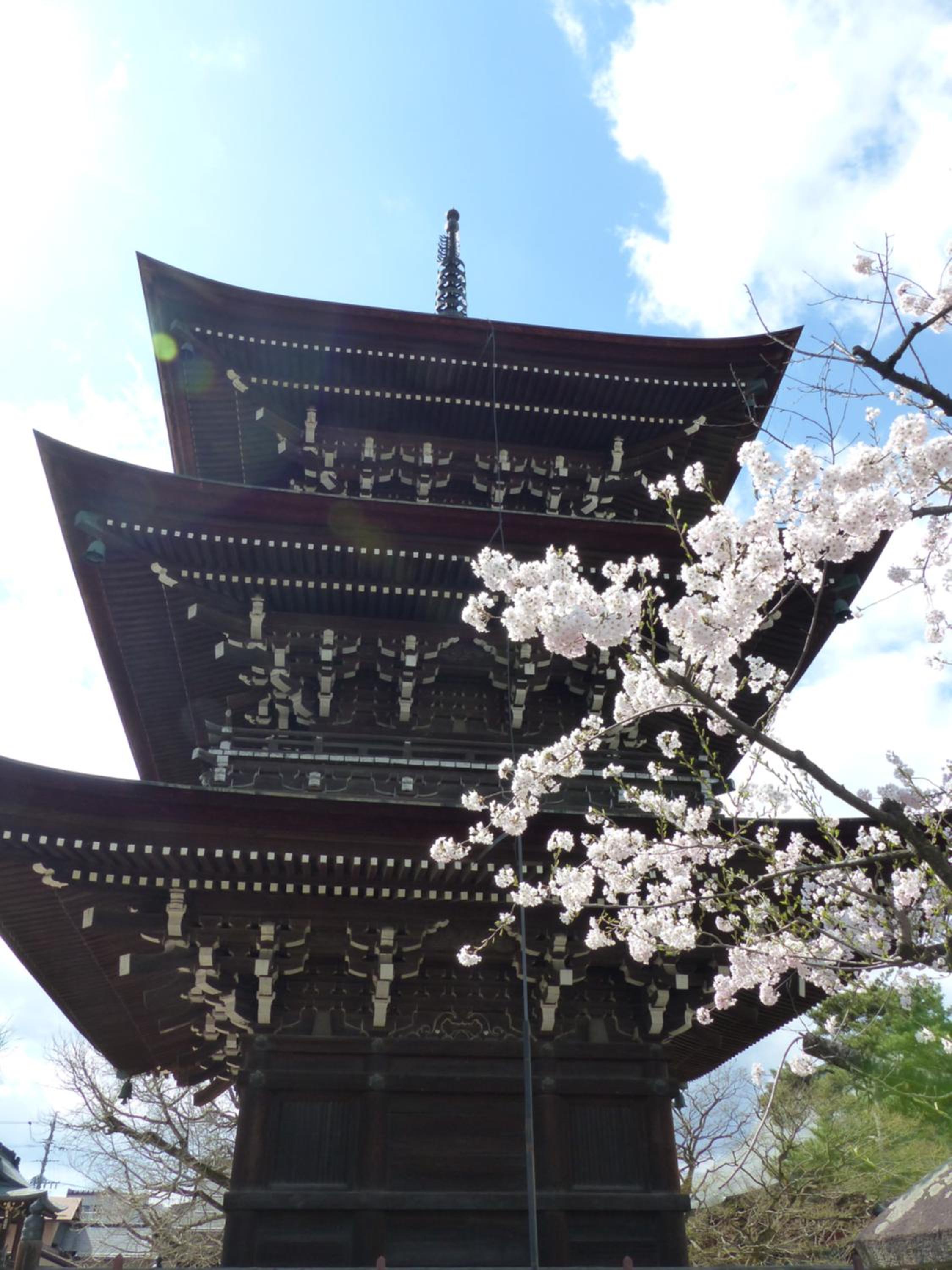 Minshuku Kuwataniya