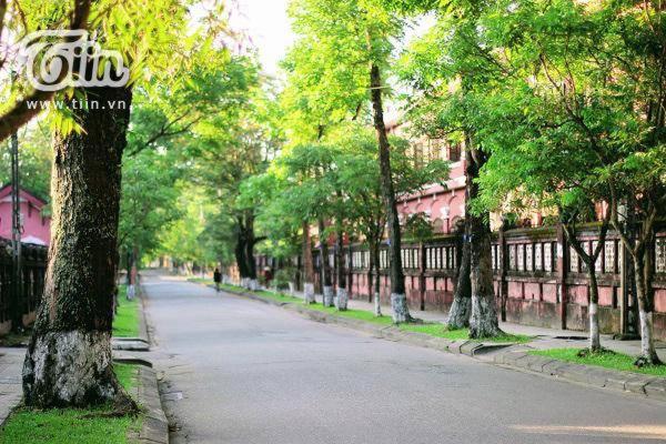 Tin Tin Hue Hostel