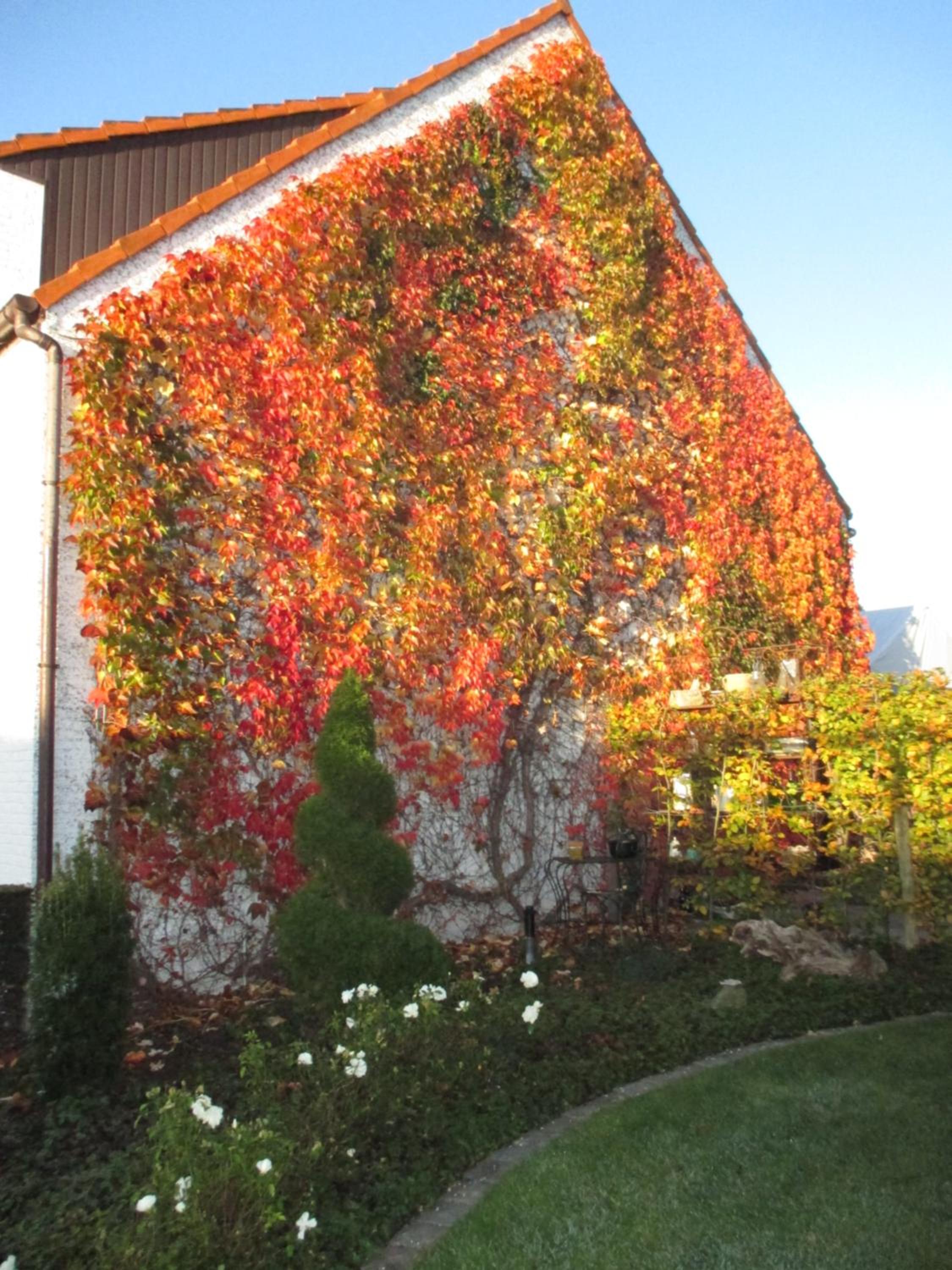 Photo 24