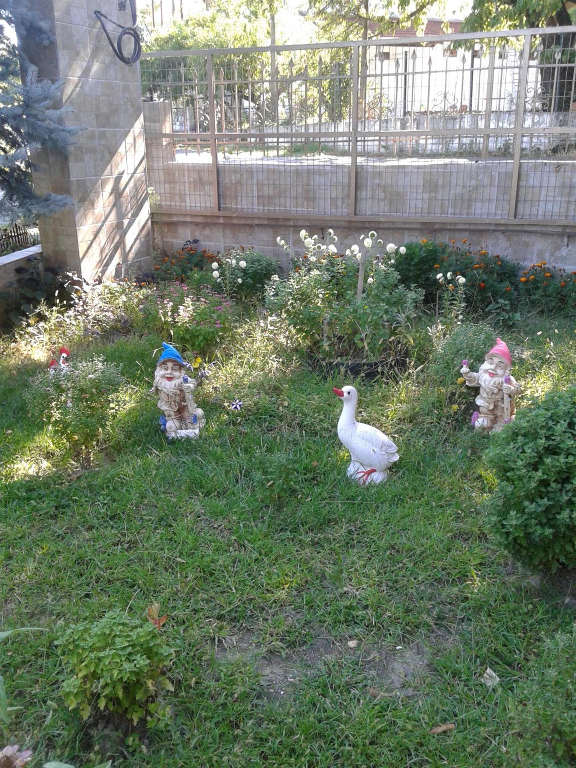 Photo 66