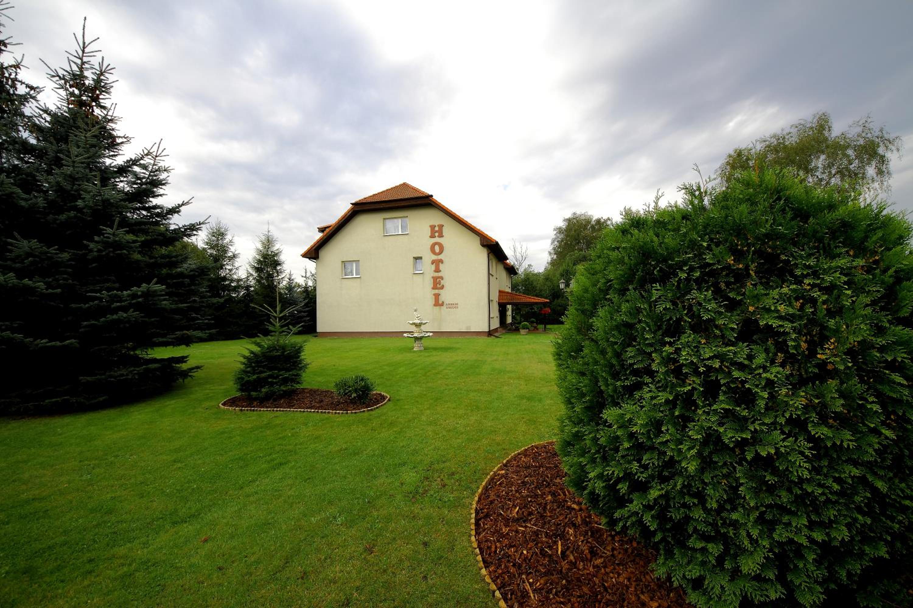 Photo 41