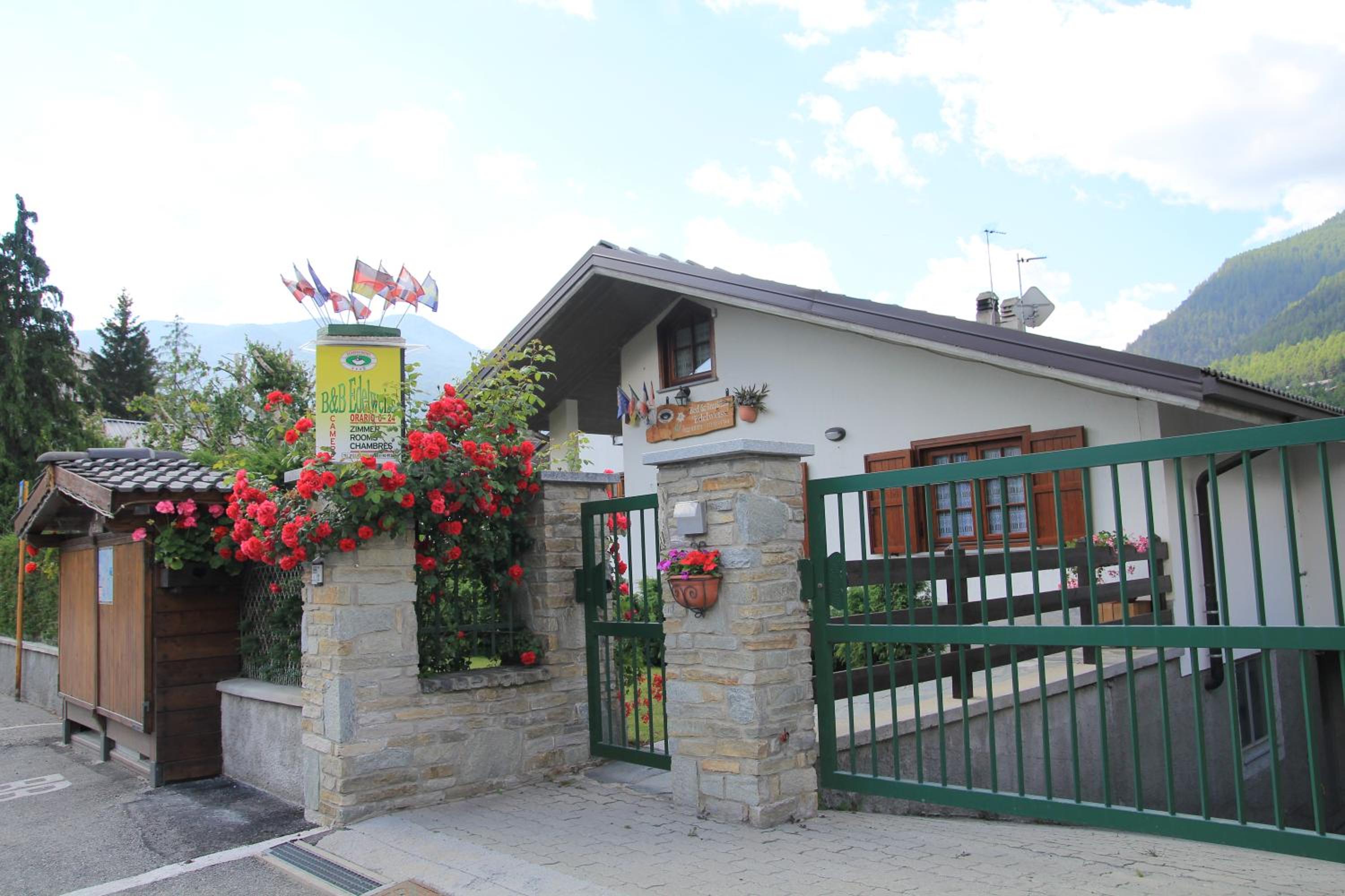 B&B Edelweiss