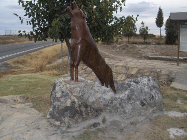 Photo 24