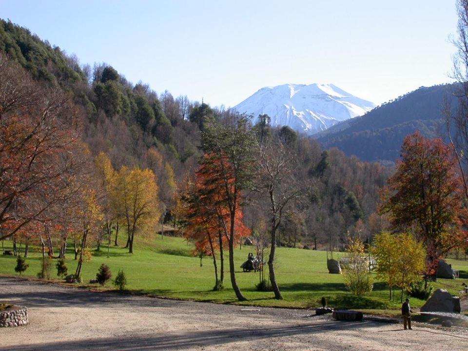 children's play area
