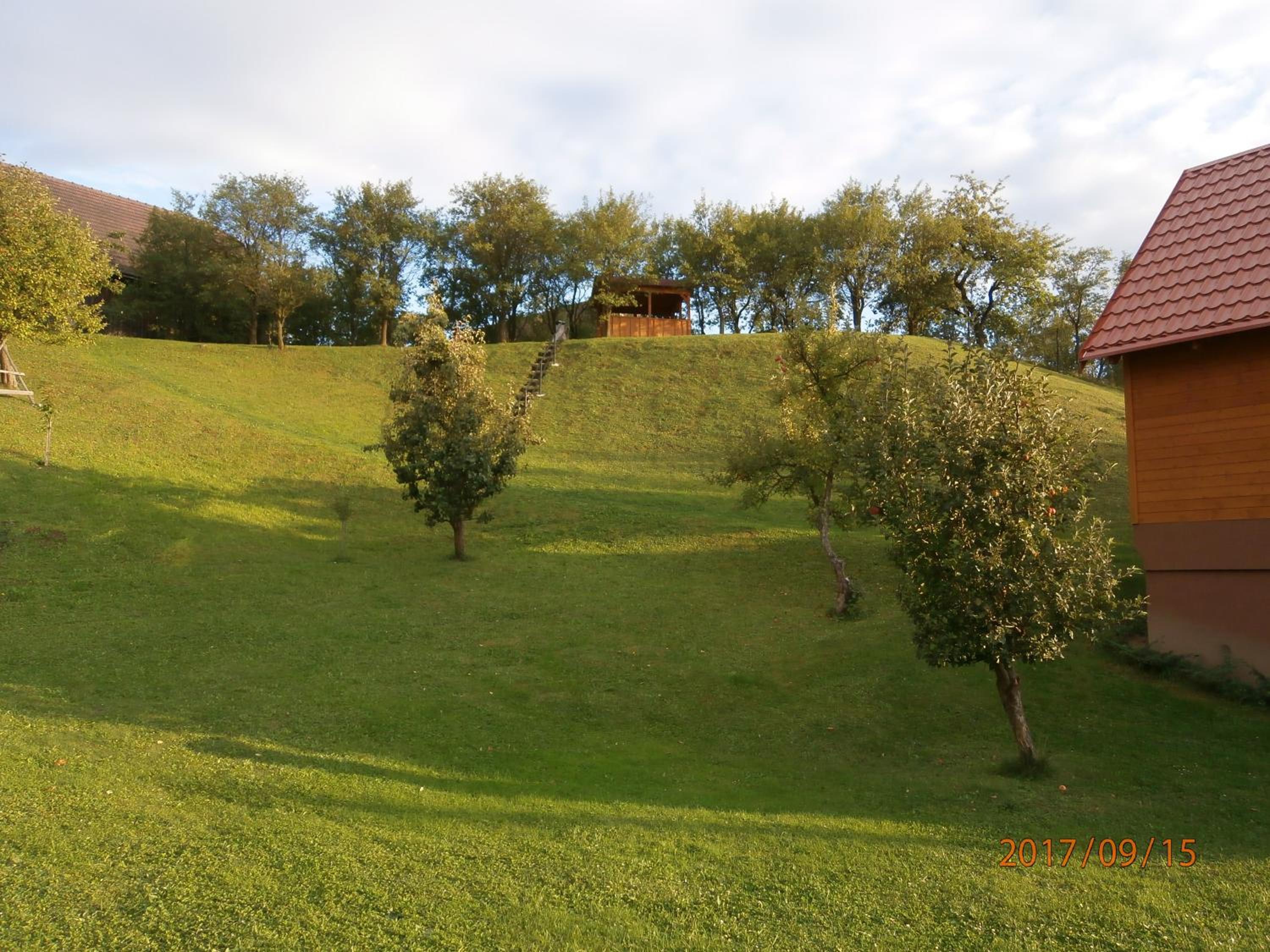 Photo 24