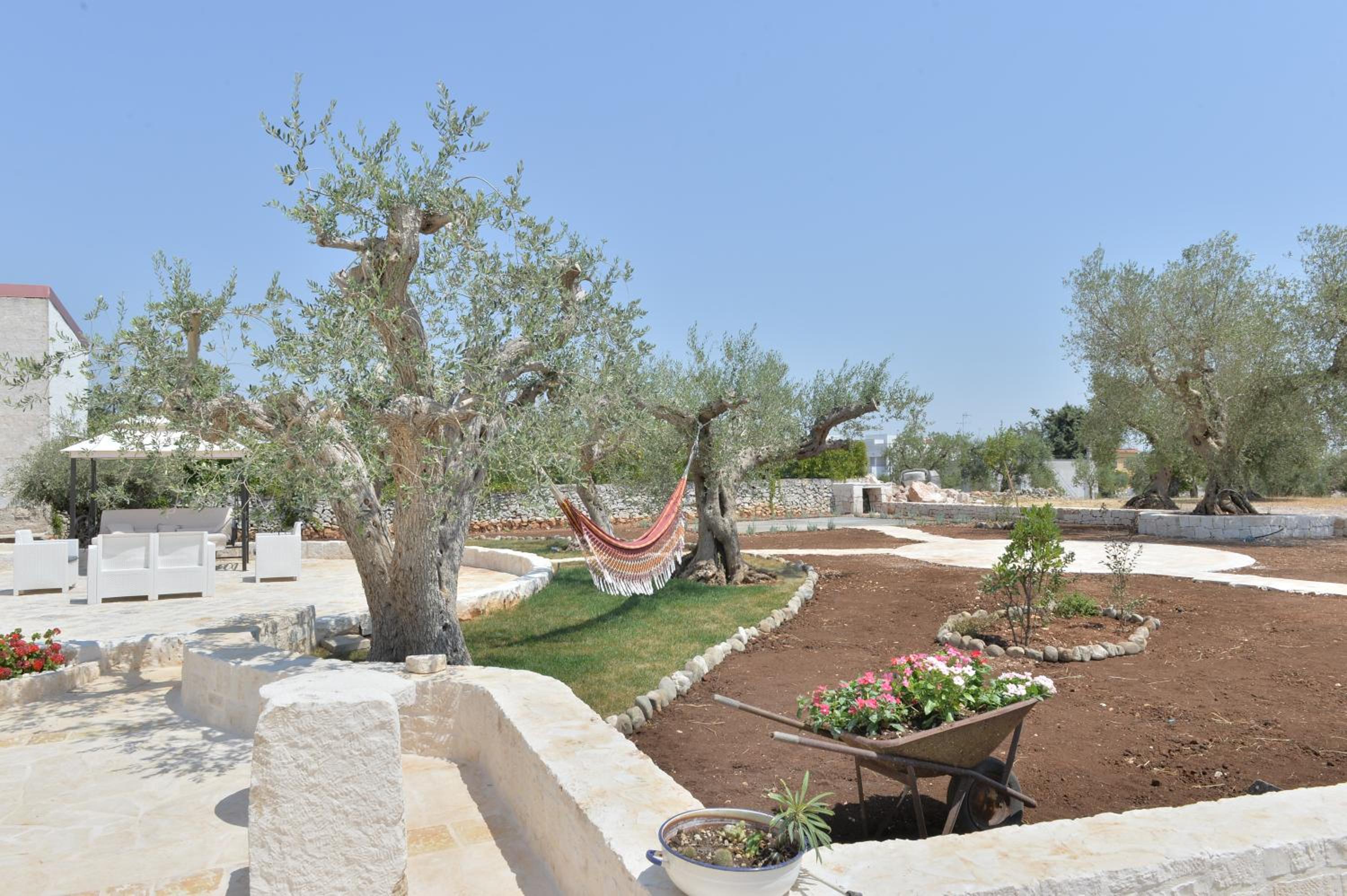 Photo 20