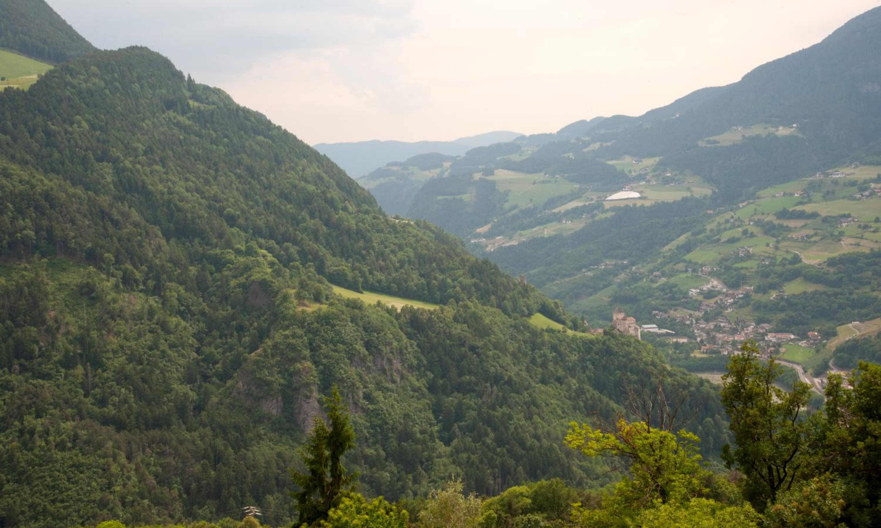 Ausservogelweiderhof