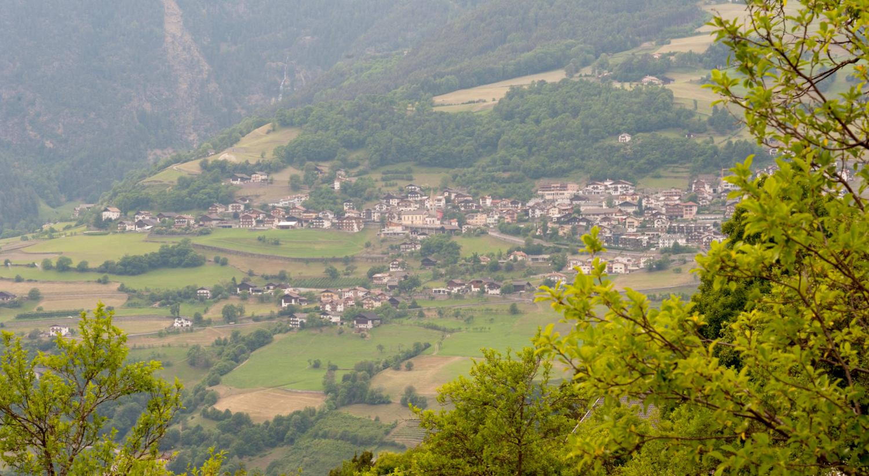 Ausservogelweiderhof