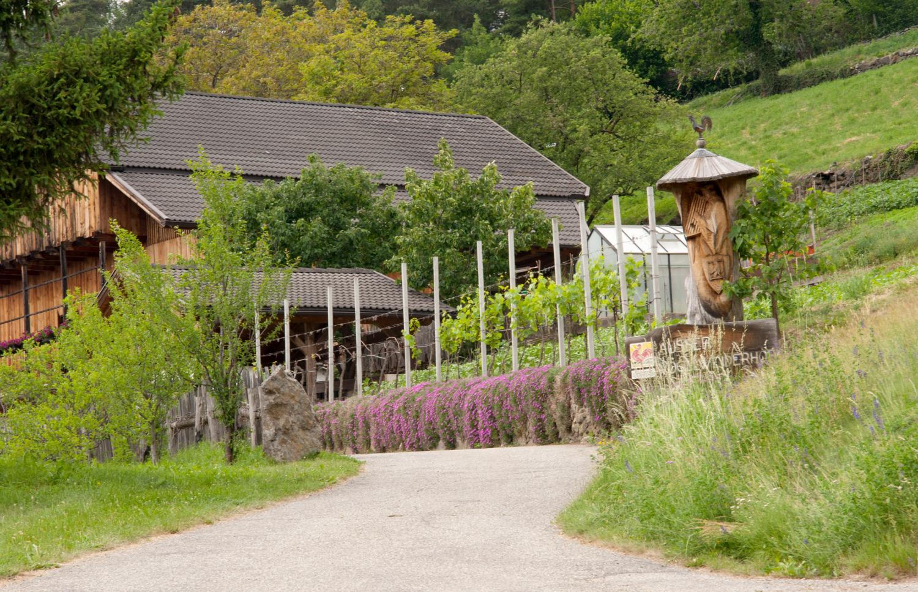 Ausservogelweiderhof