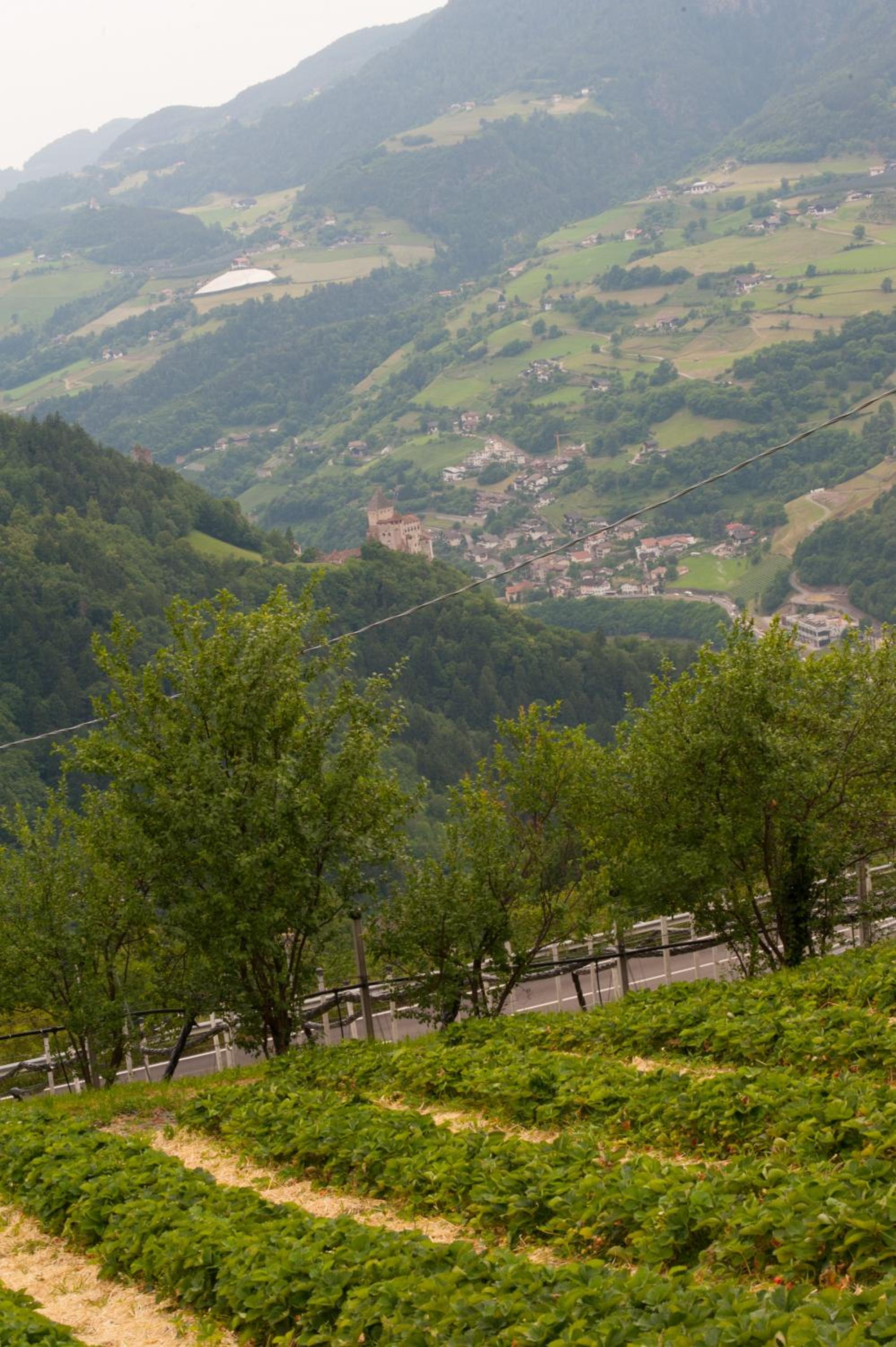 Ausservogelweiderhof
