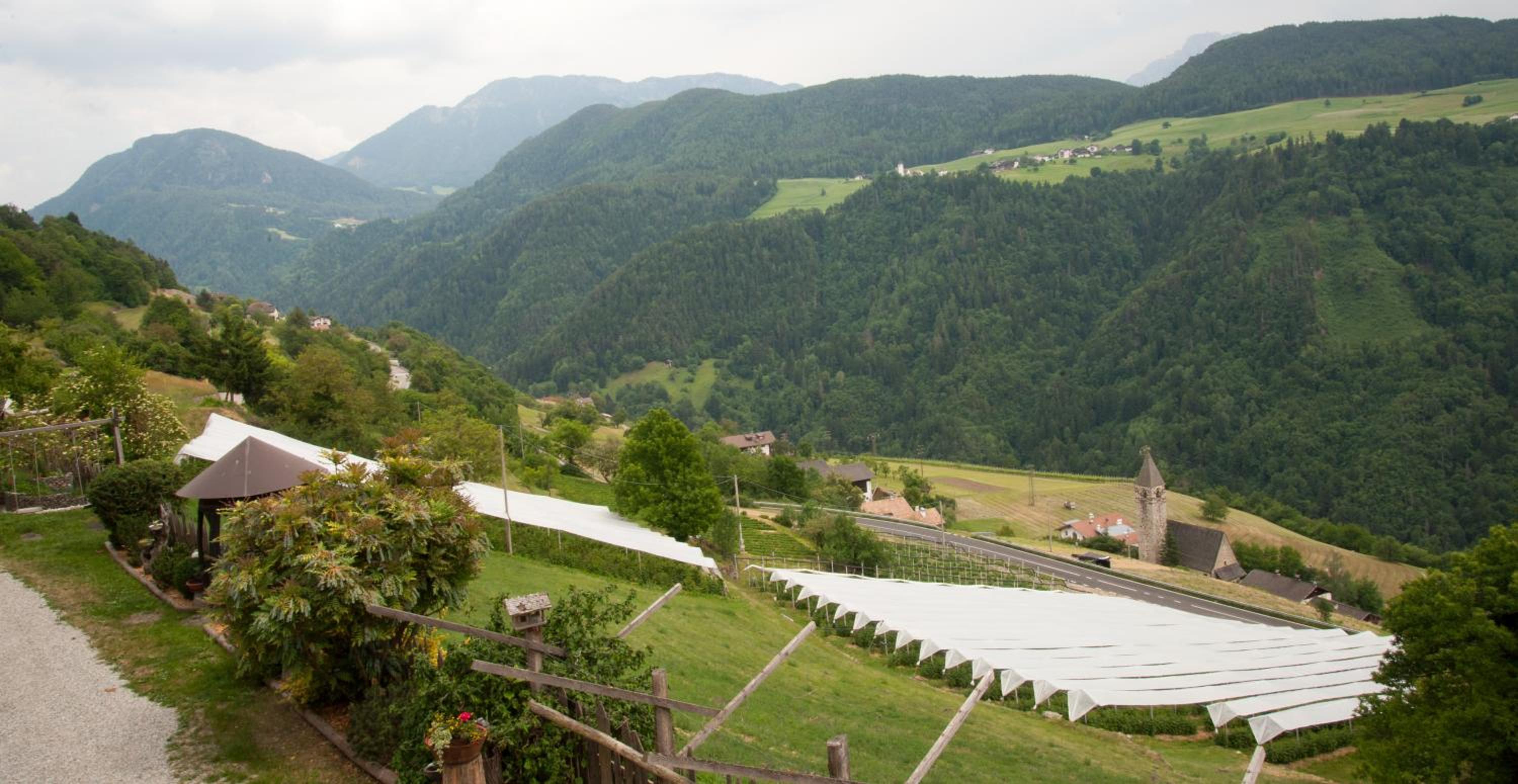 Ausservogelweiderhof
