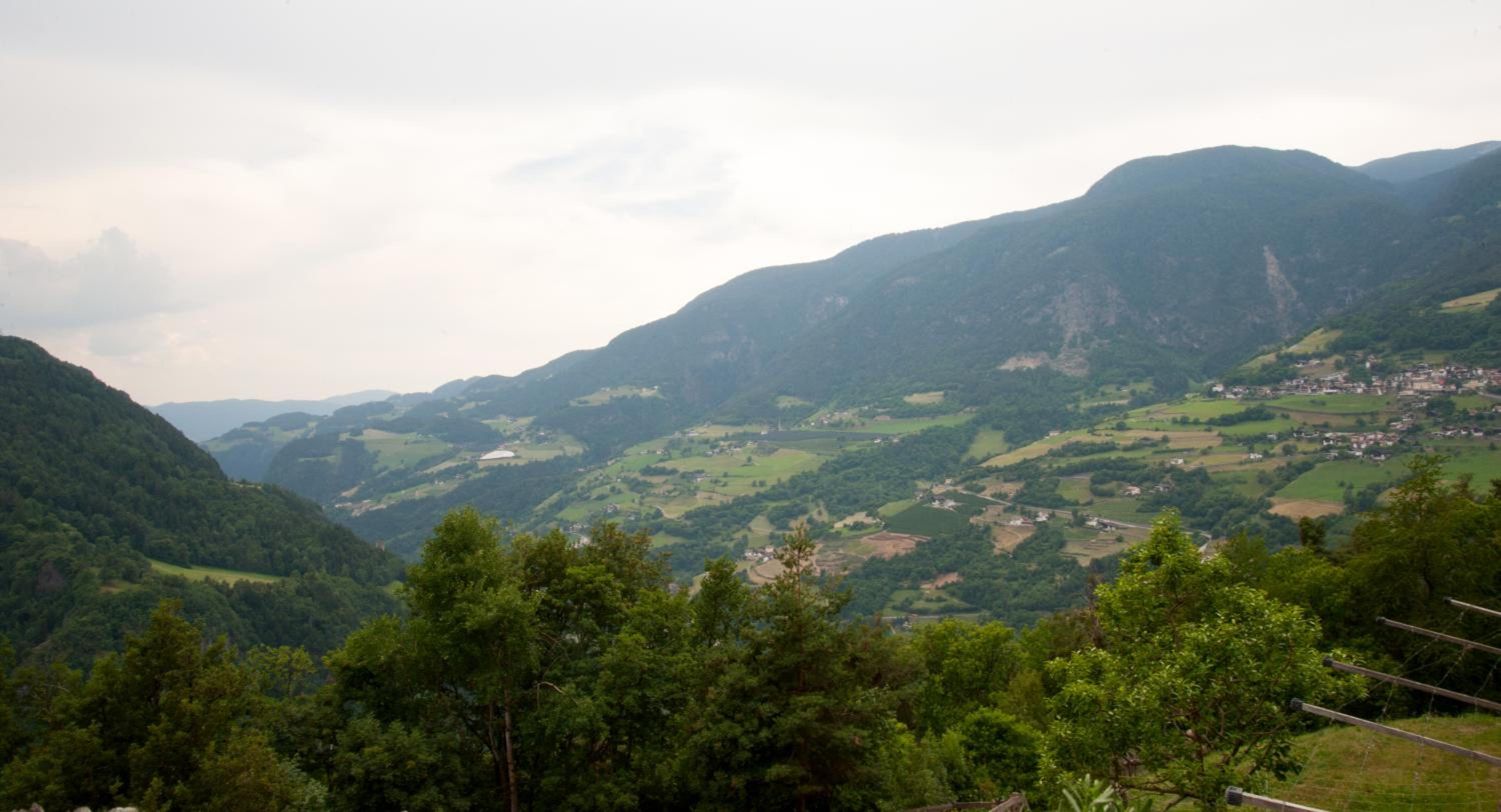 Ausservogelweiderhof