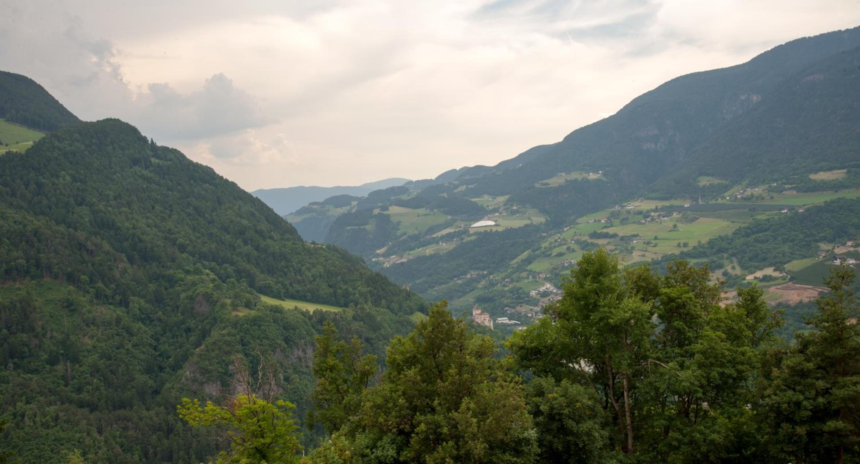 Ausservogelweiderhof