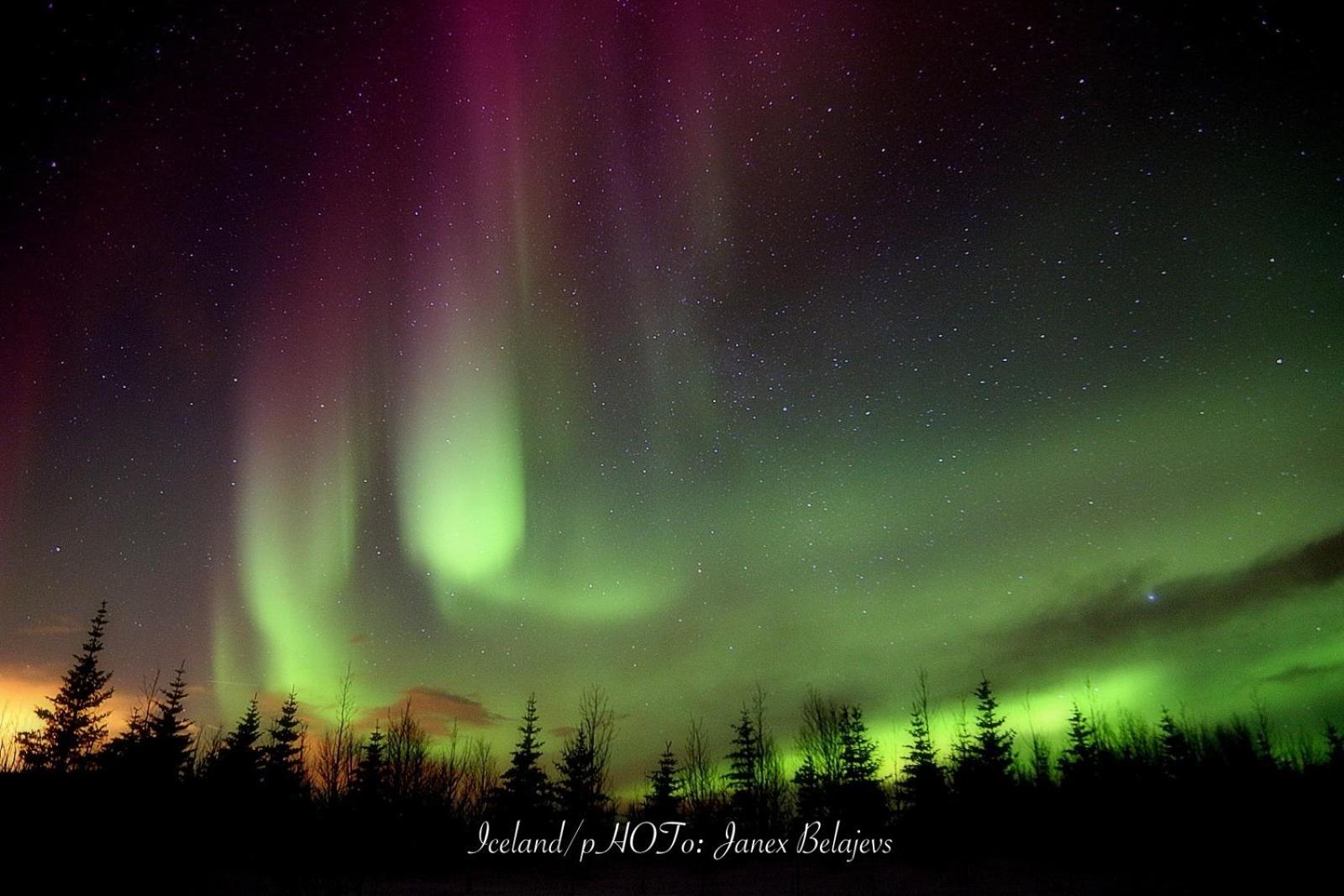 Hotel Country Dream - Langholt 2