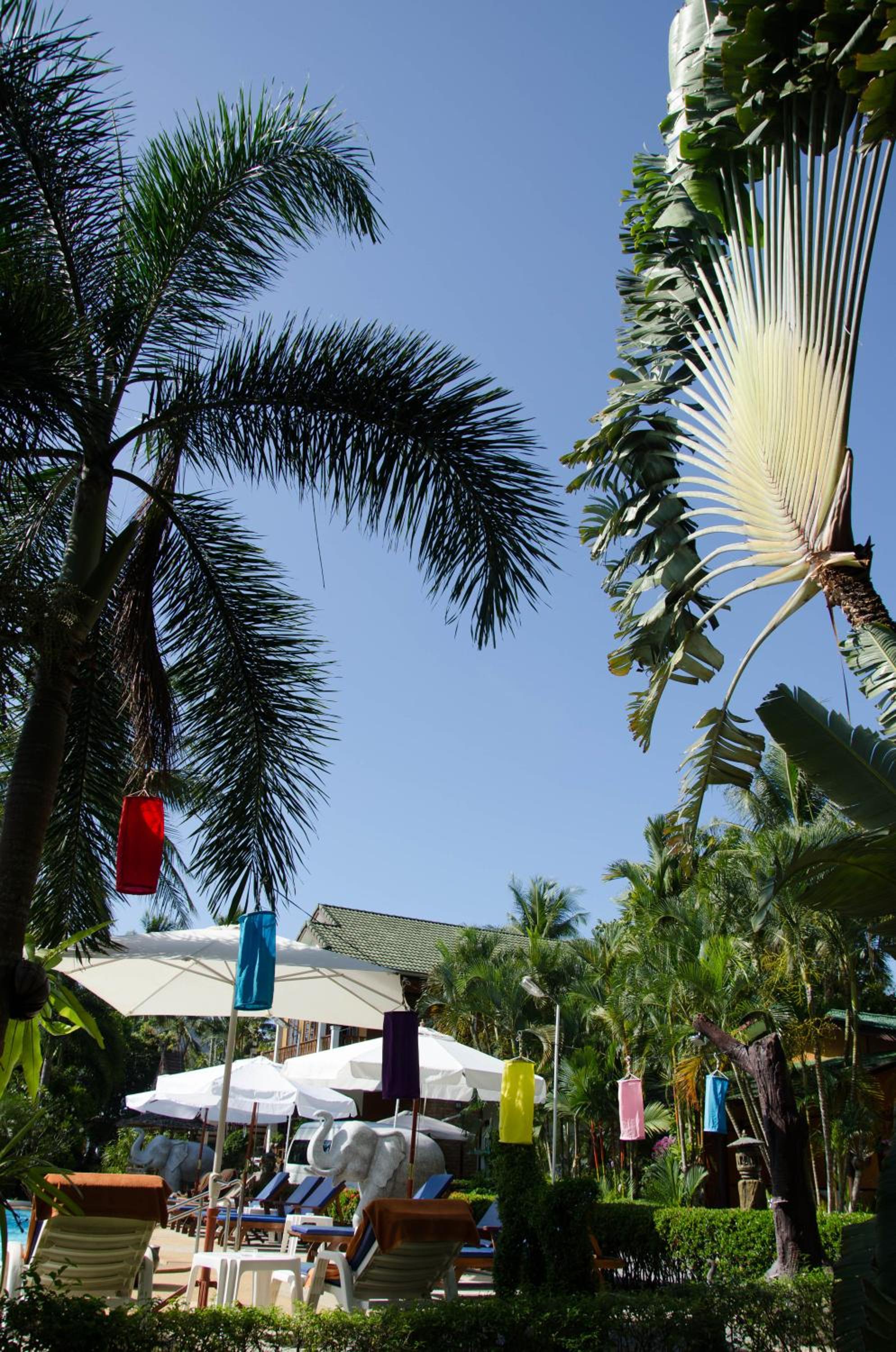 Jungle Village Bungalow