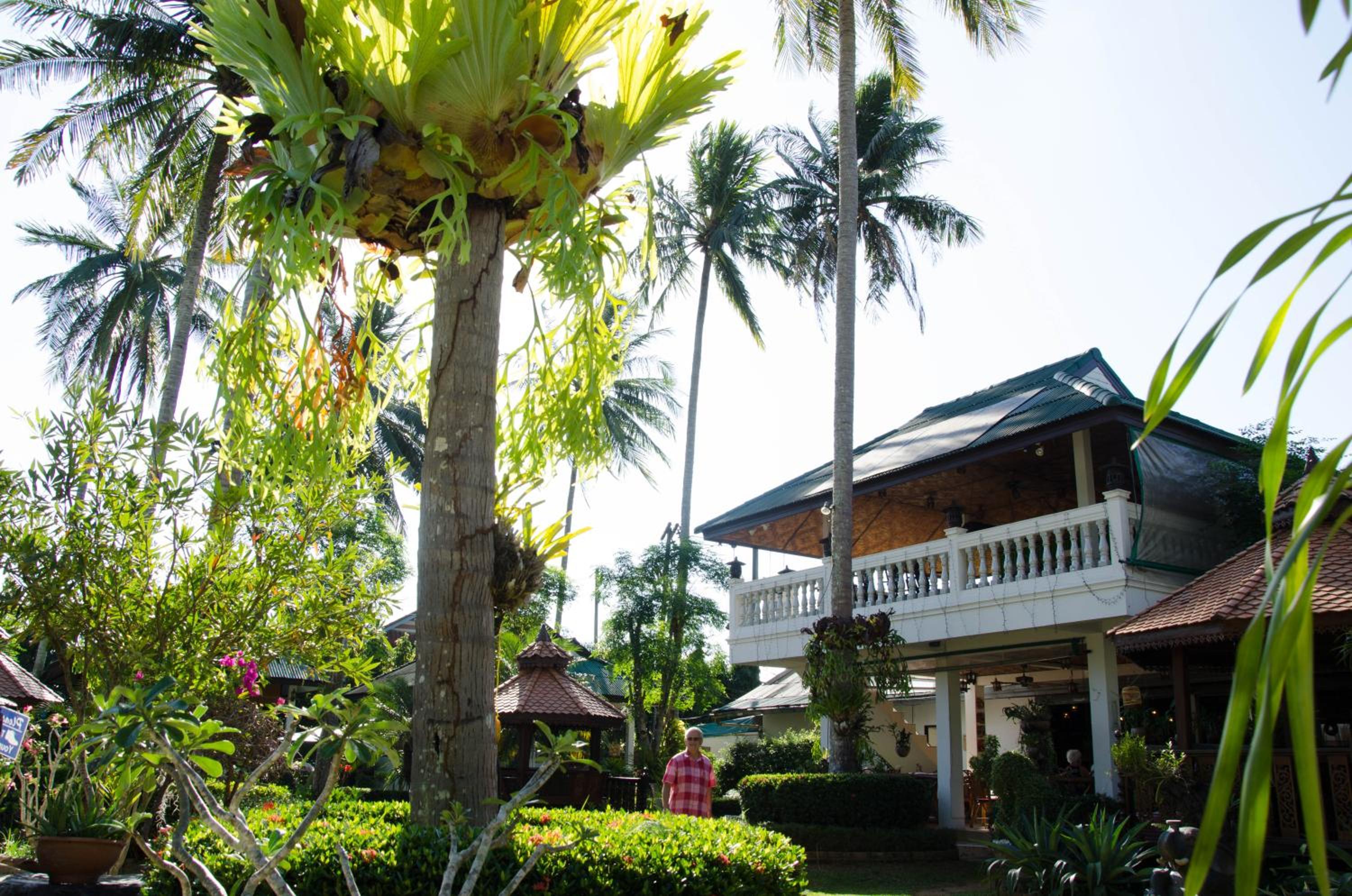 Jungle Village Bungalow