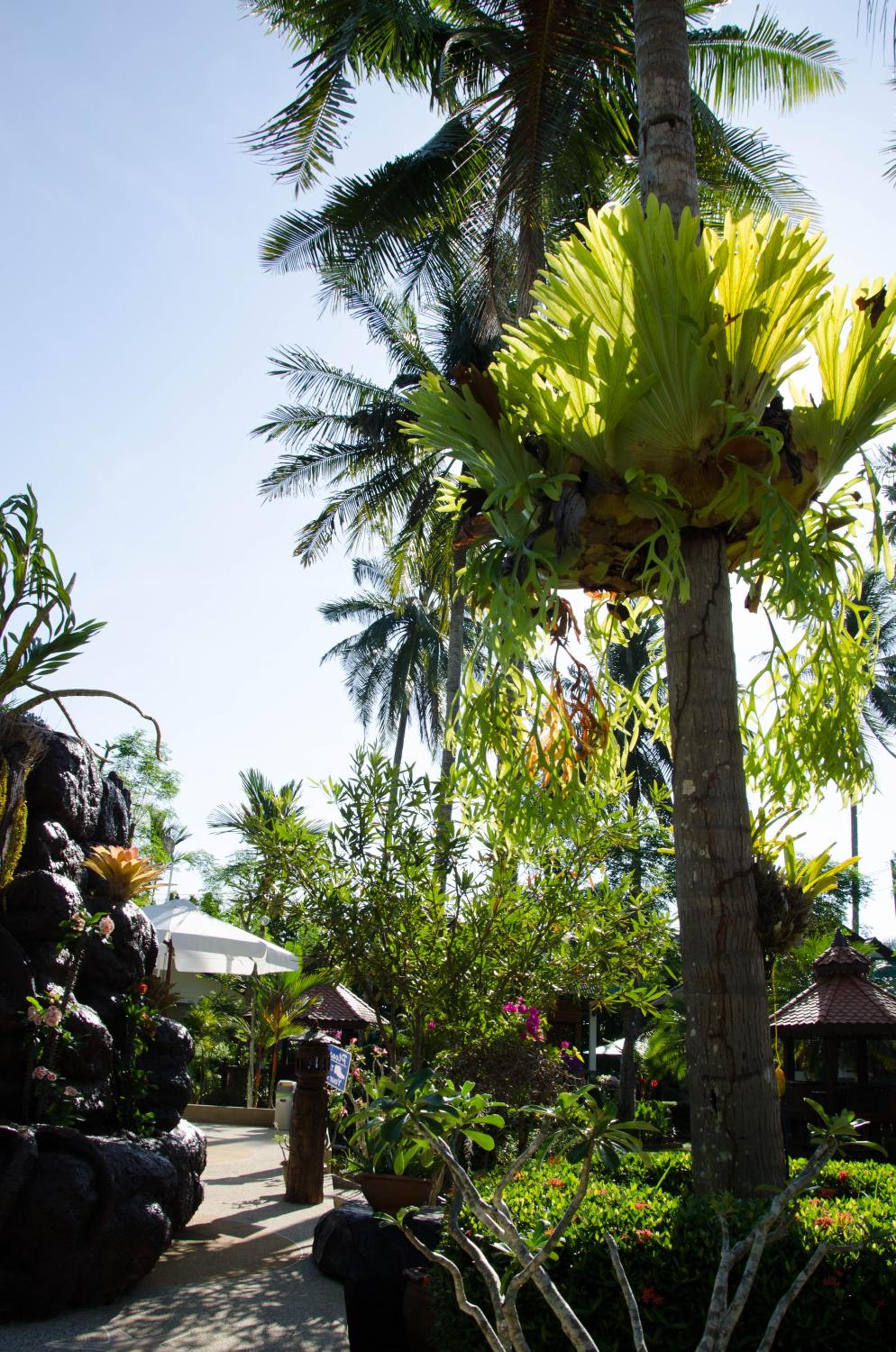 Jungle Village Bungalow