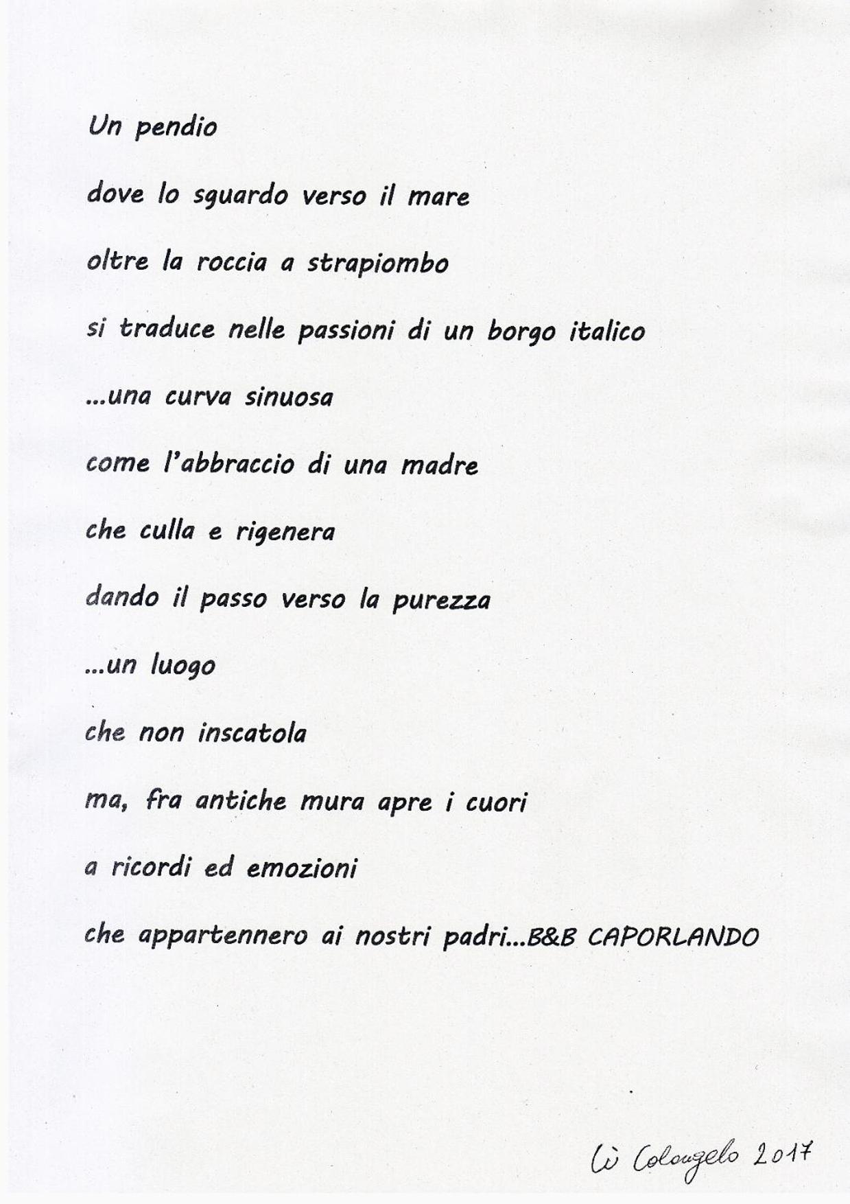 Photo 35