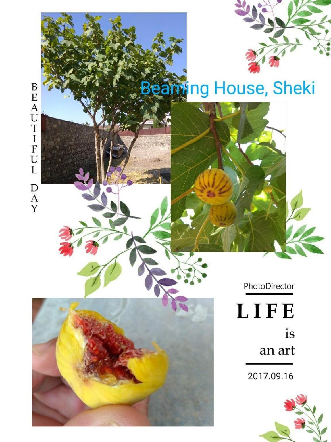 Beaming_House