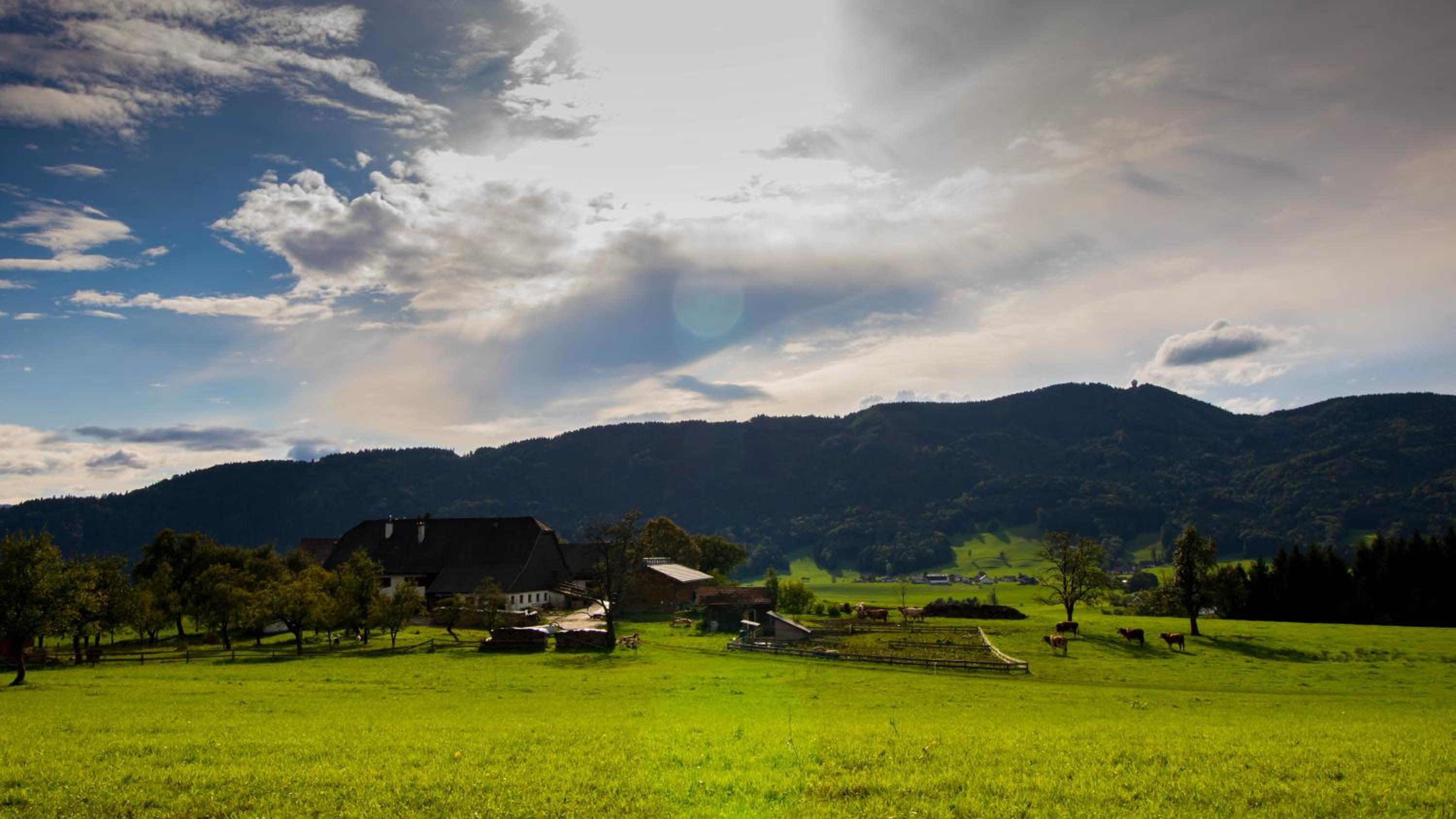 Rauhbergerhof