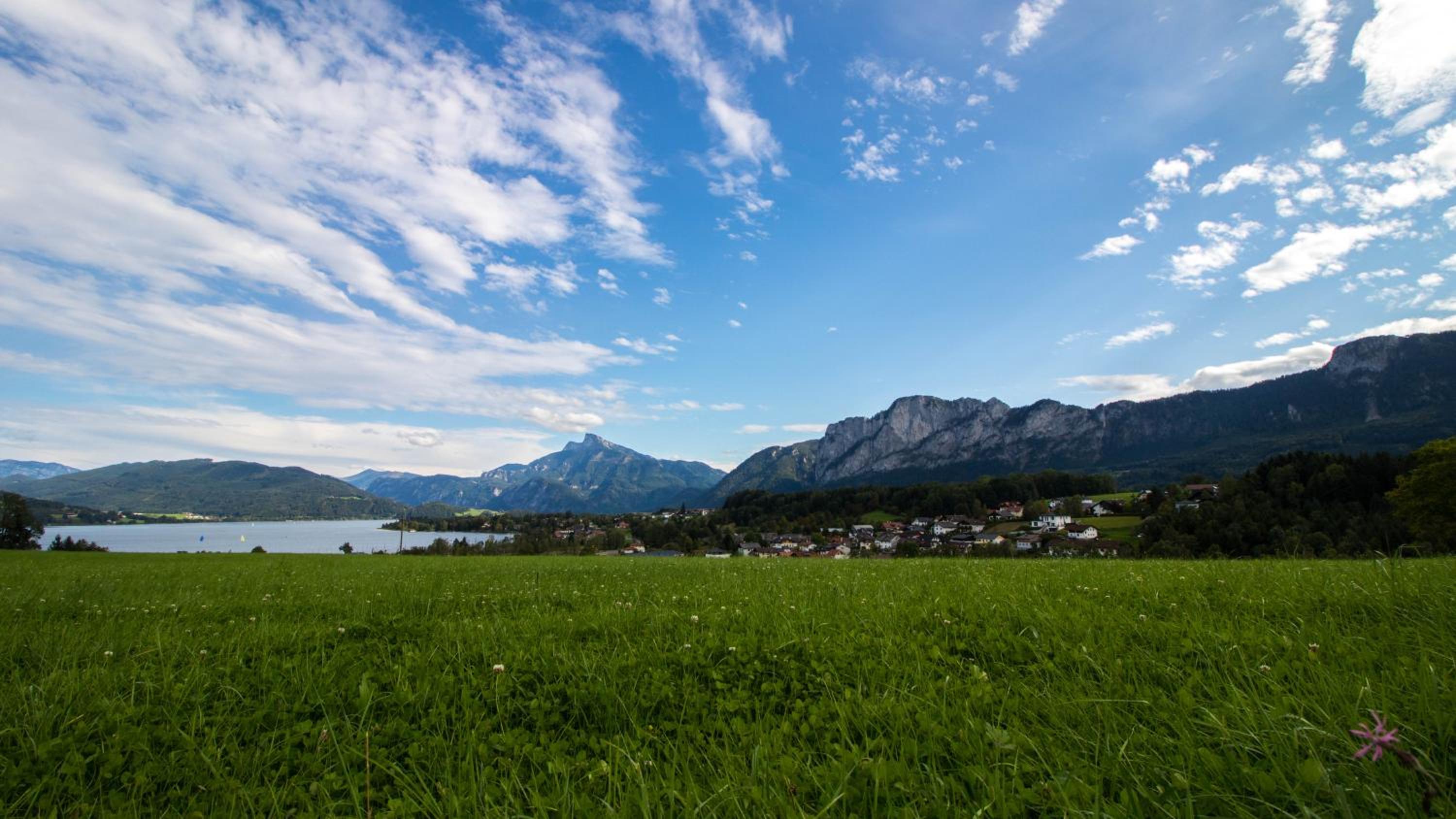 Rauhbergerhof