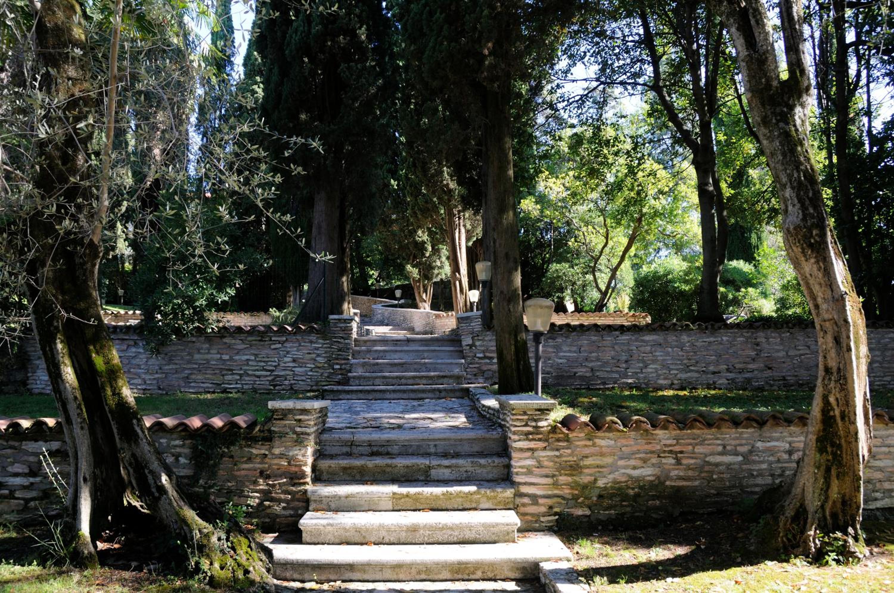 Photo 29