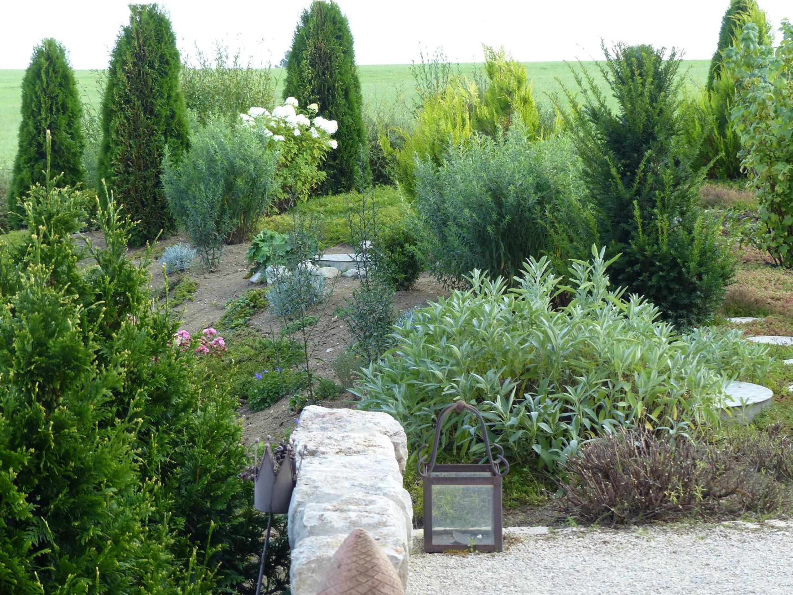 Photo 21