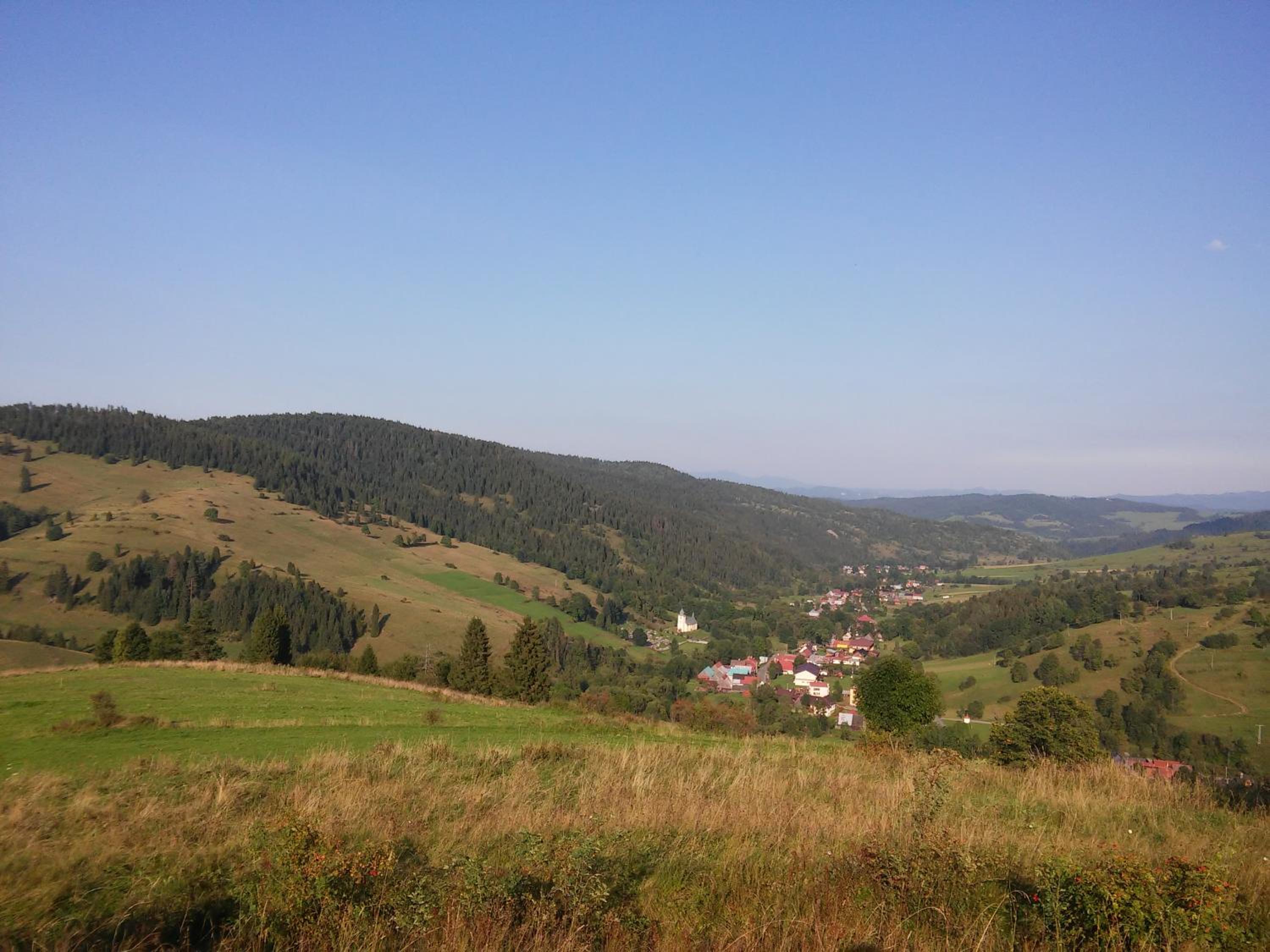 Photo 41