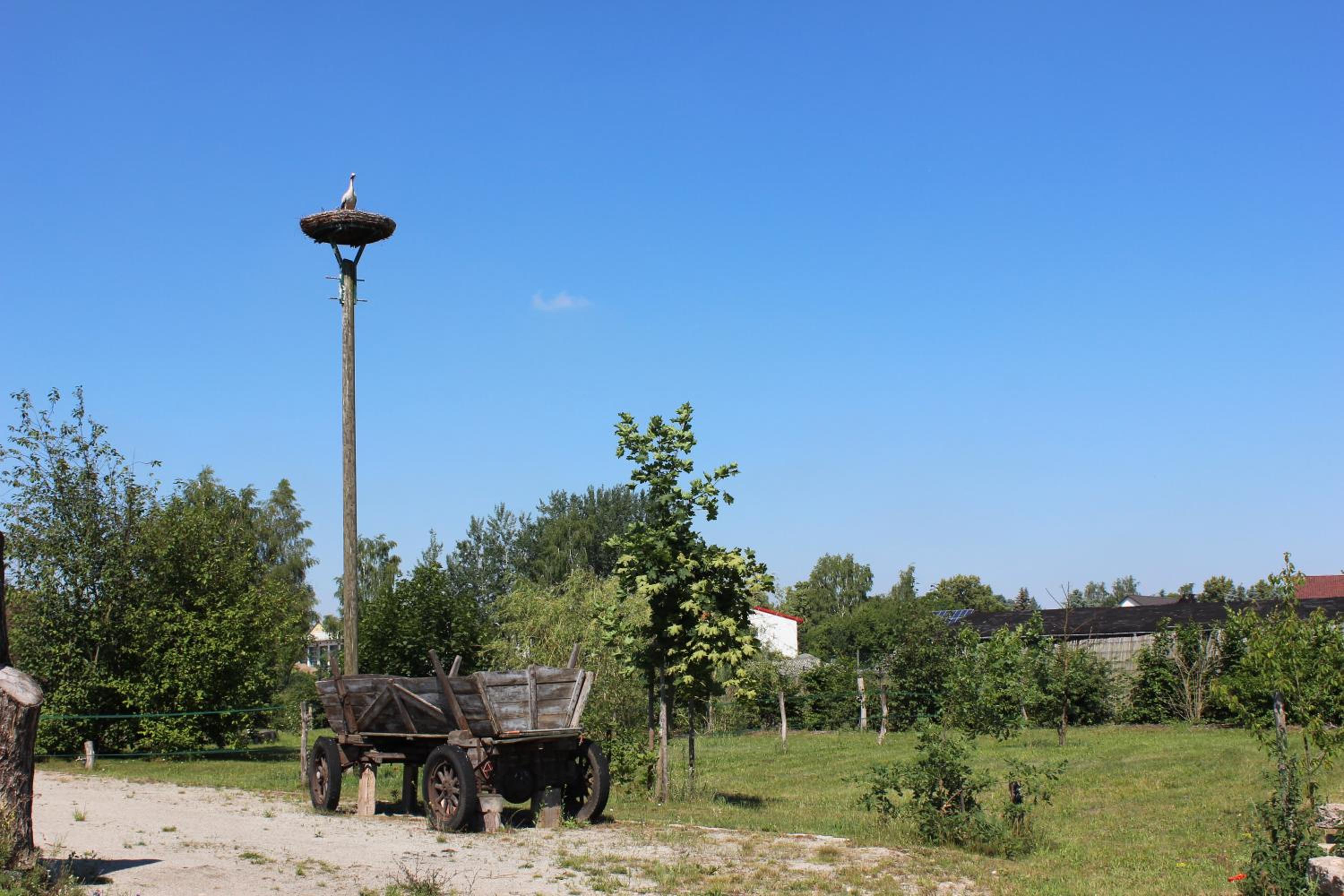 Photo 40
