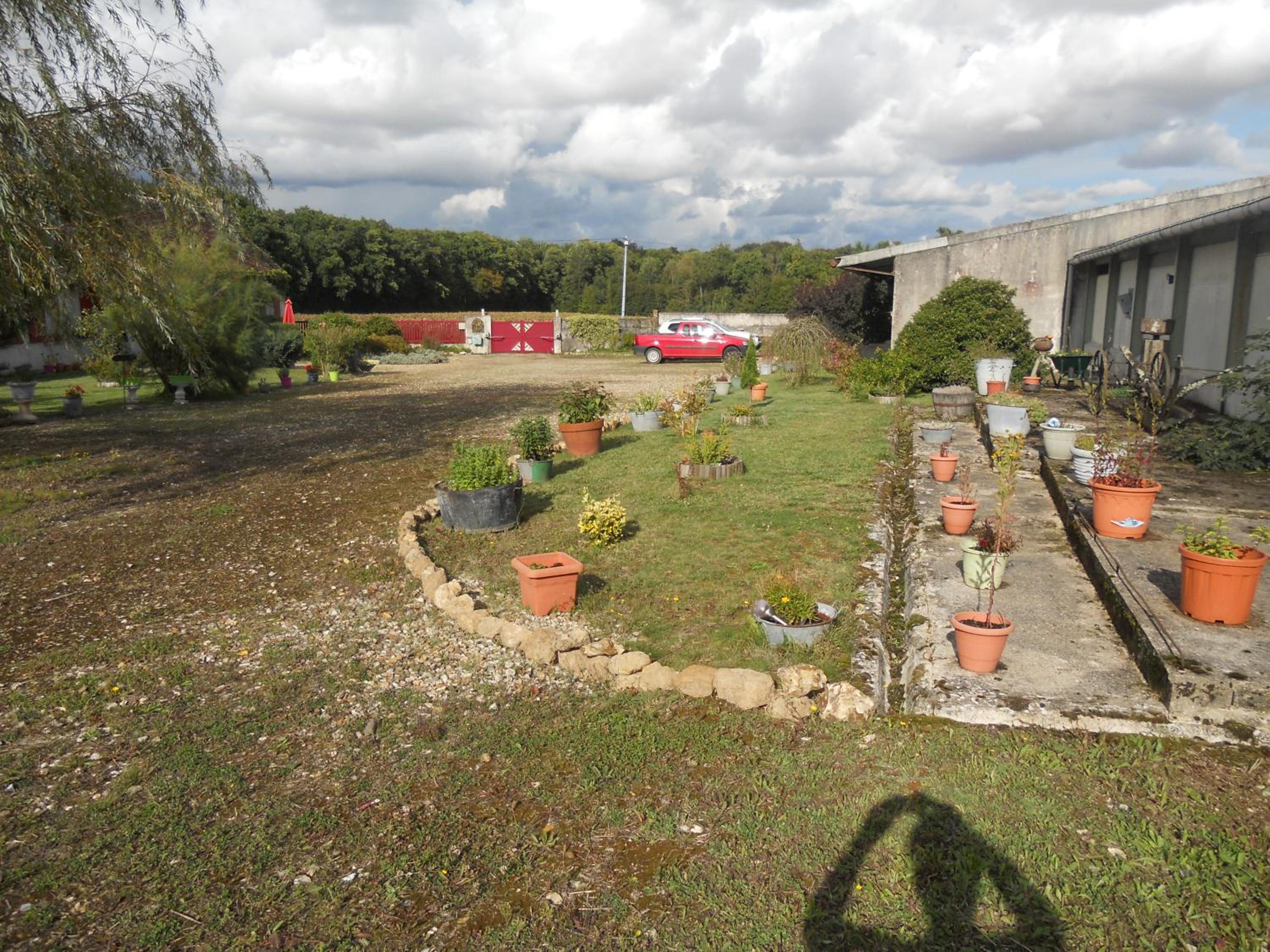 Photo 12
