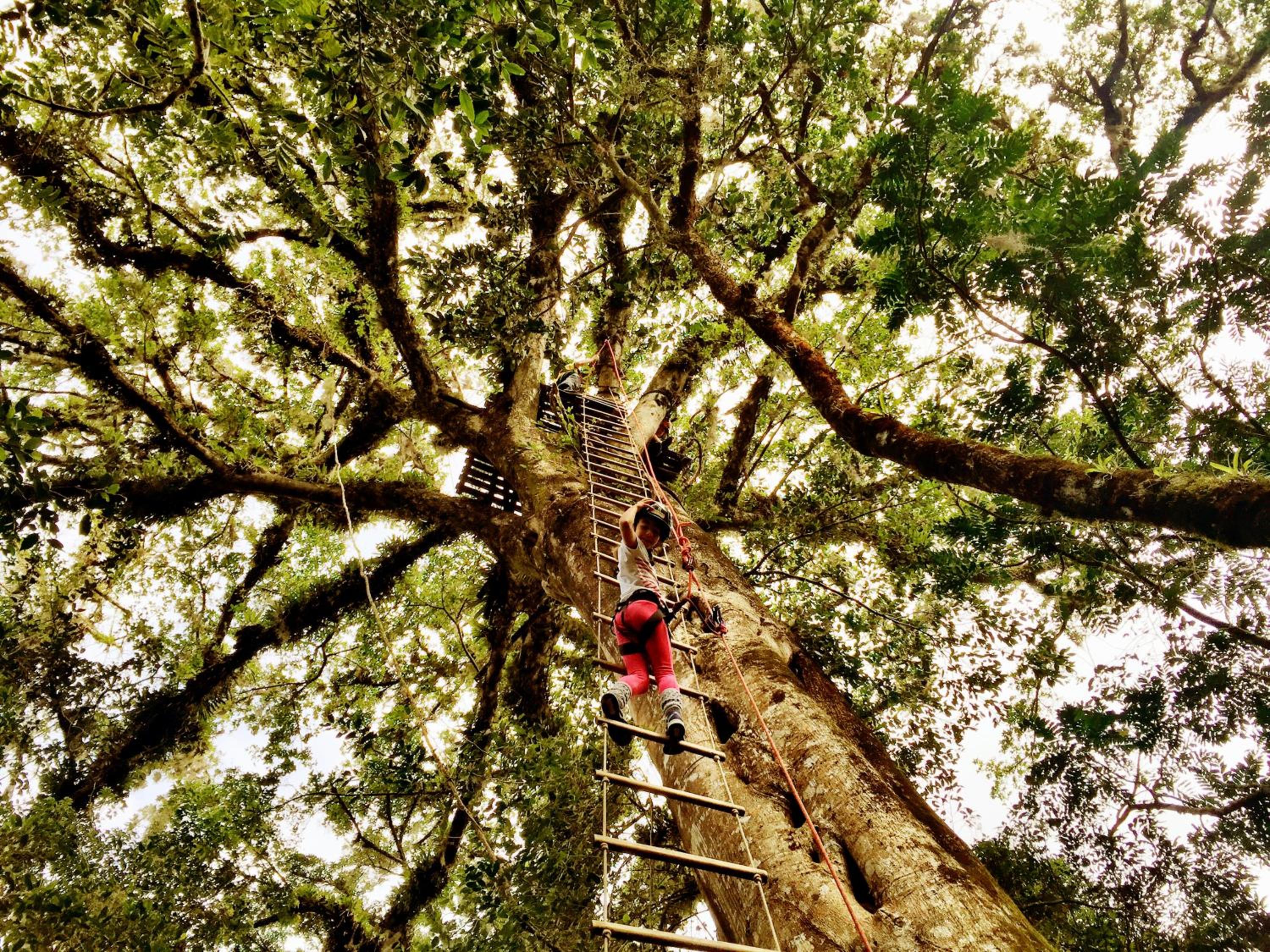 Refúgio Ecológico Pedra Afiada