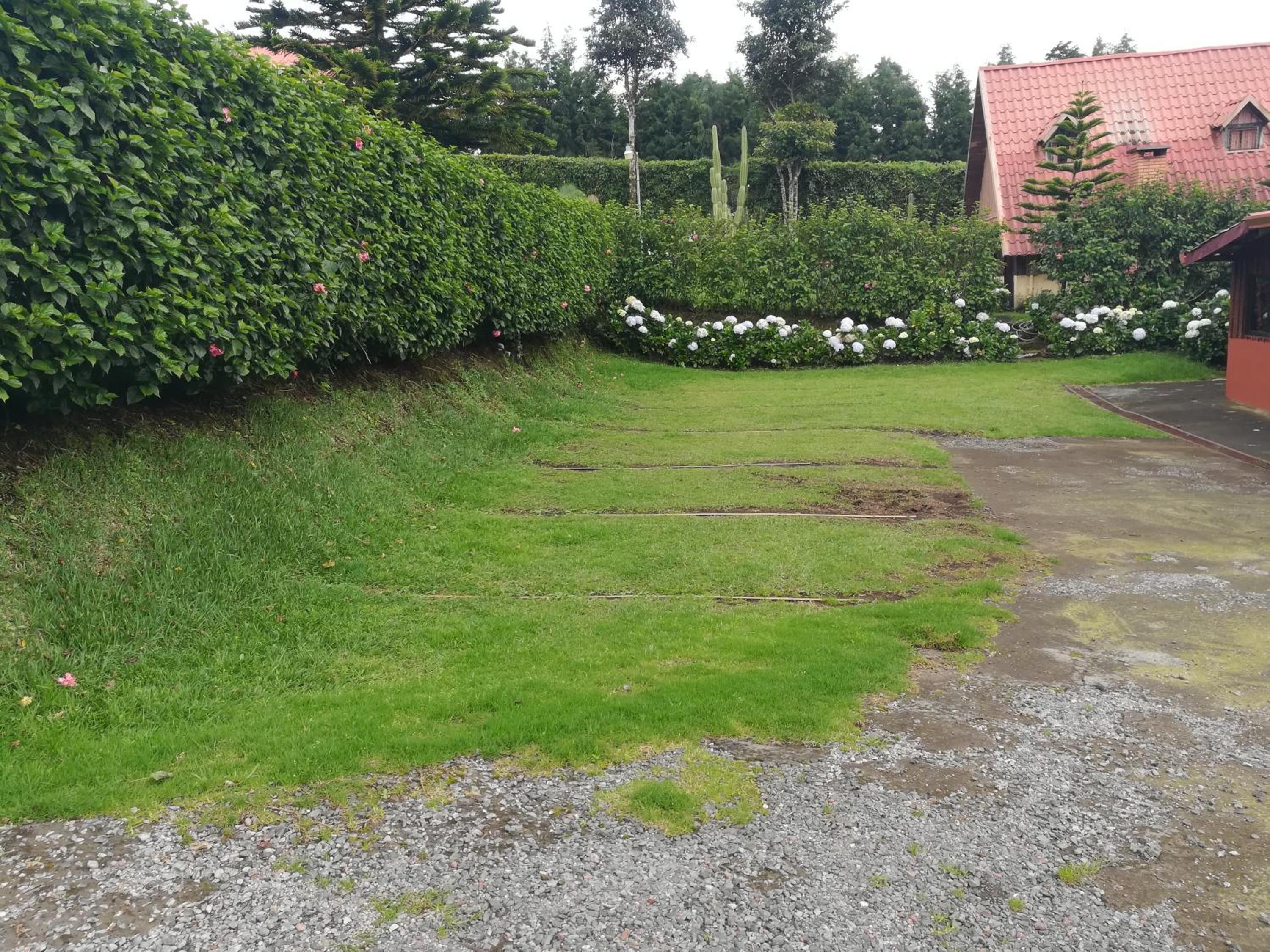 garden