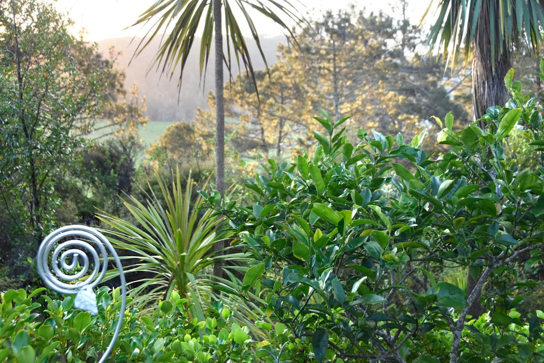 Ponga eco-lodge view 3