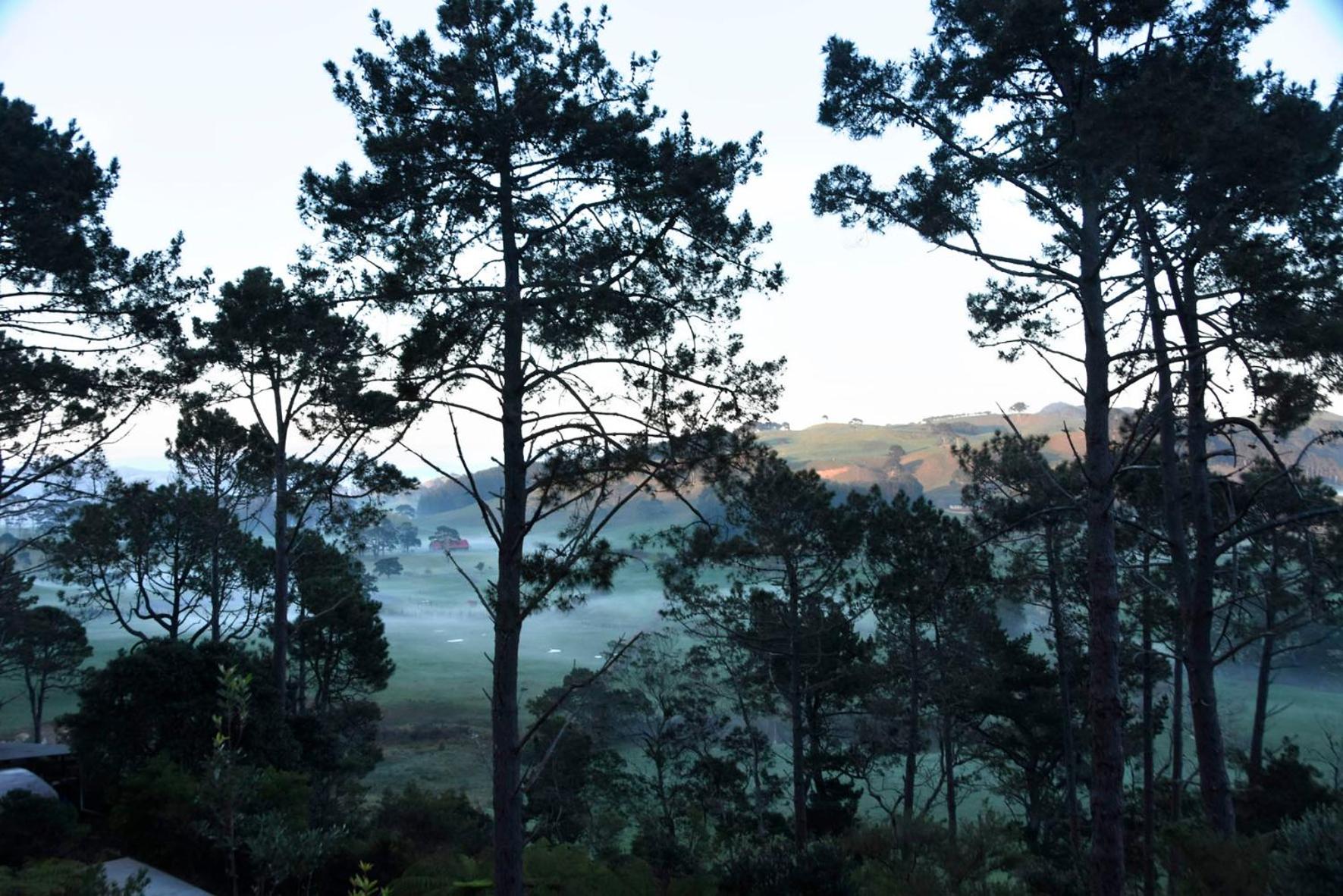 Ponga eco-lodge view 5