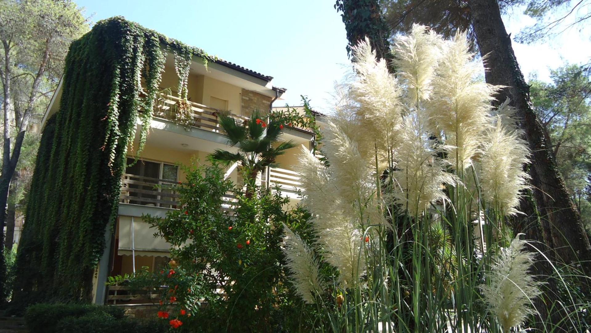 Nice Apartment in Beach