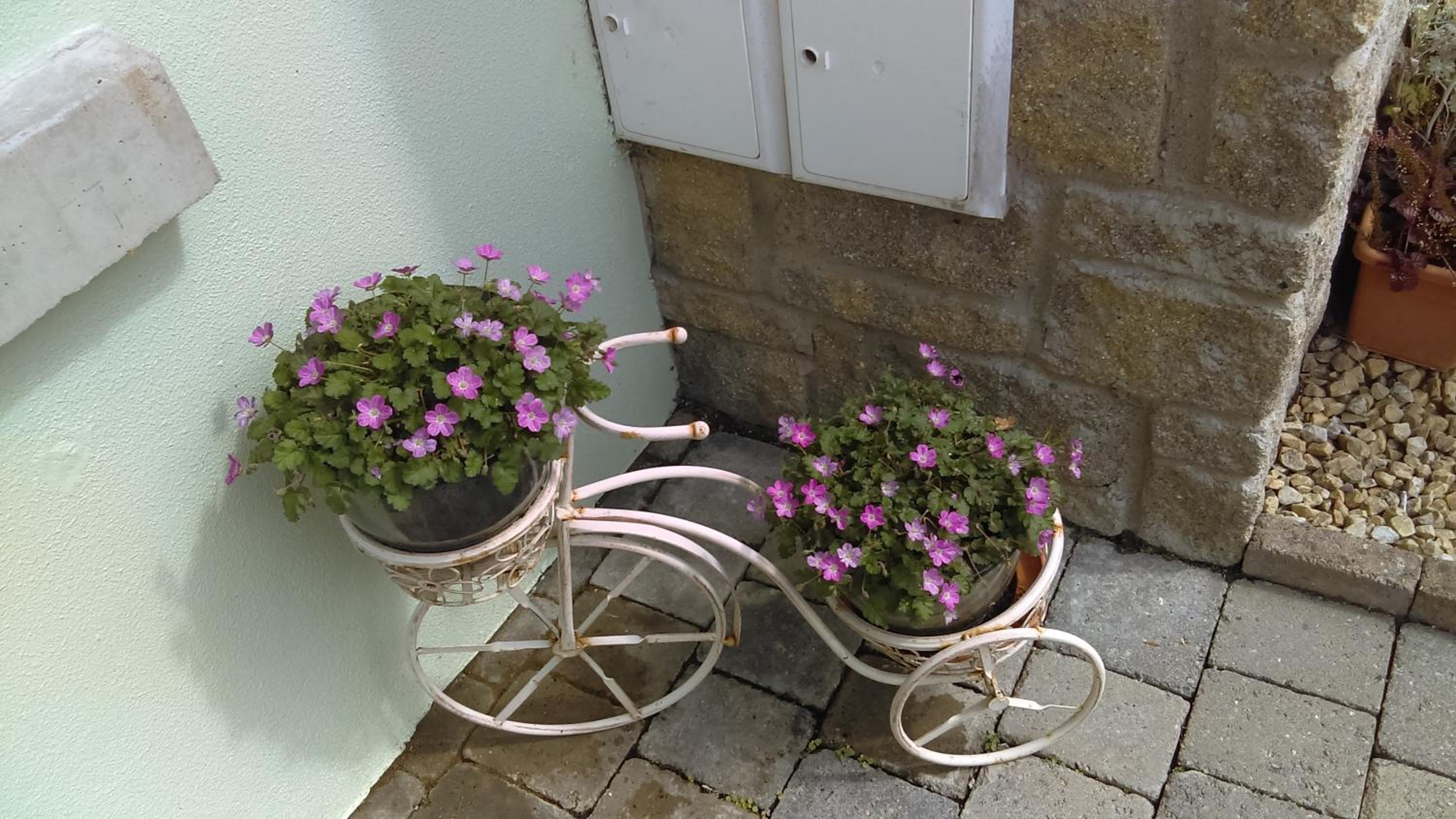 Garden View Self Catering Lough Rynn view 3