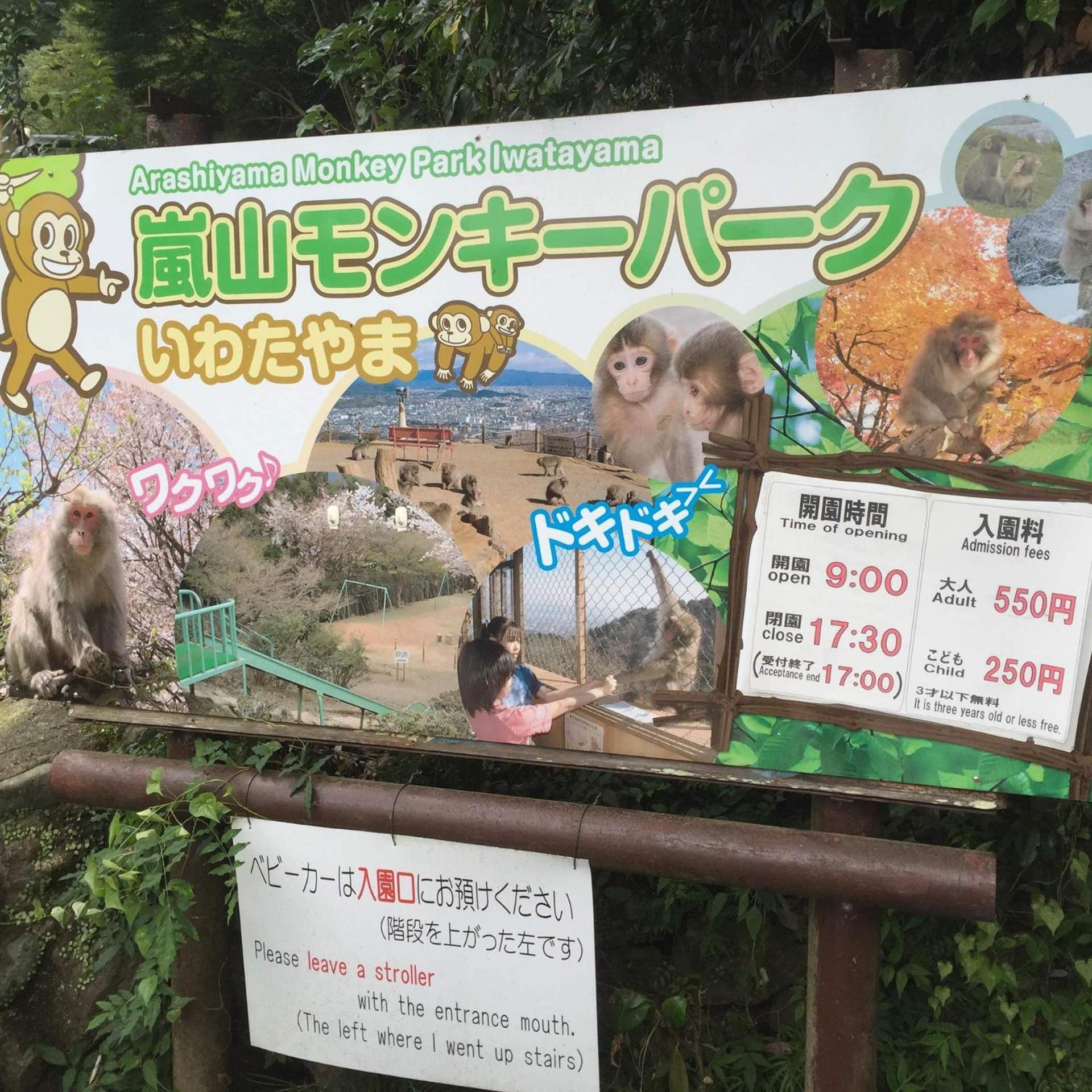 SAIZEN Matsumuro stay
