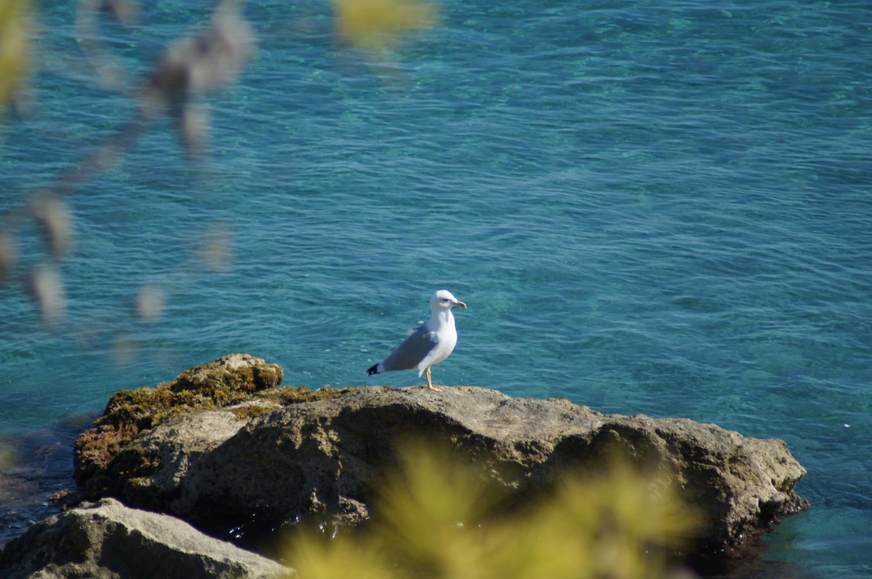 Anatoli Hotel — photo 4