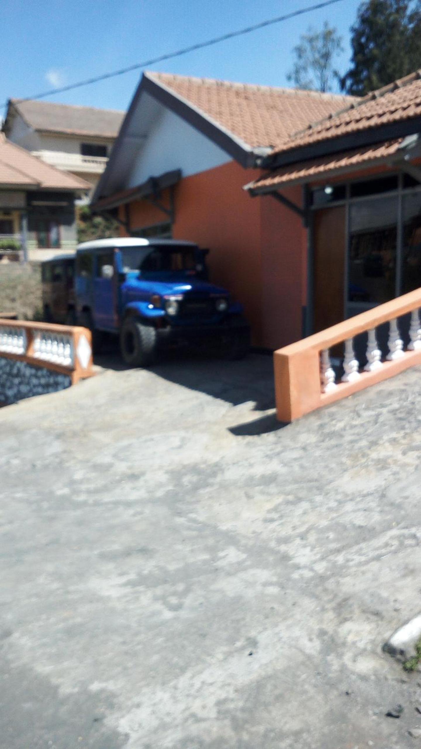 Photo 13