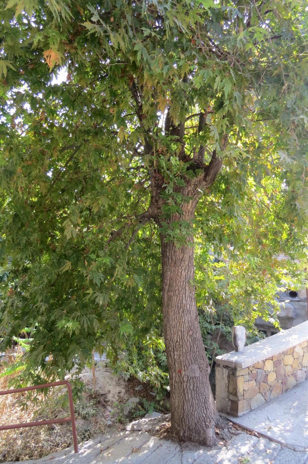 Photo 25