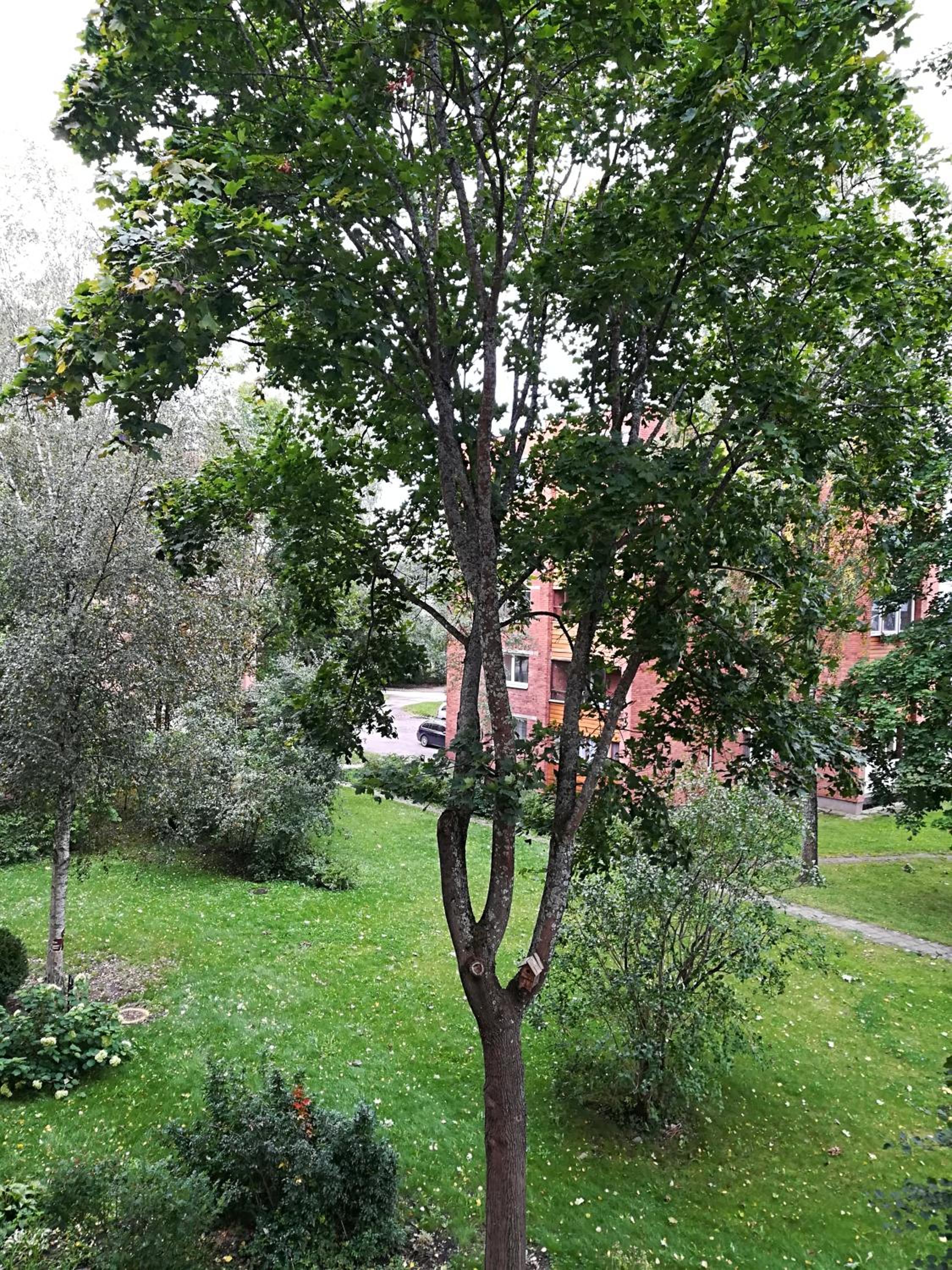 Photo 15