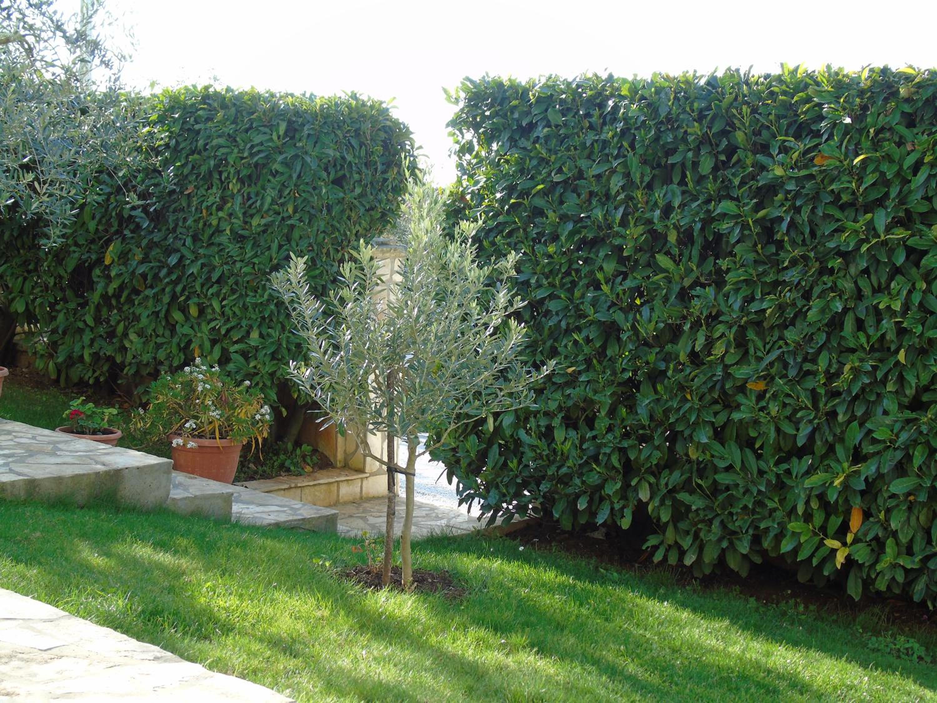 Photo 28