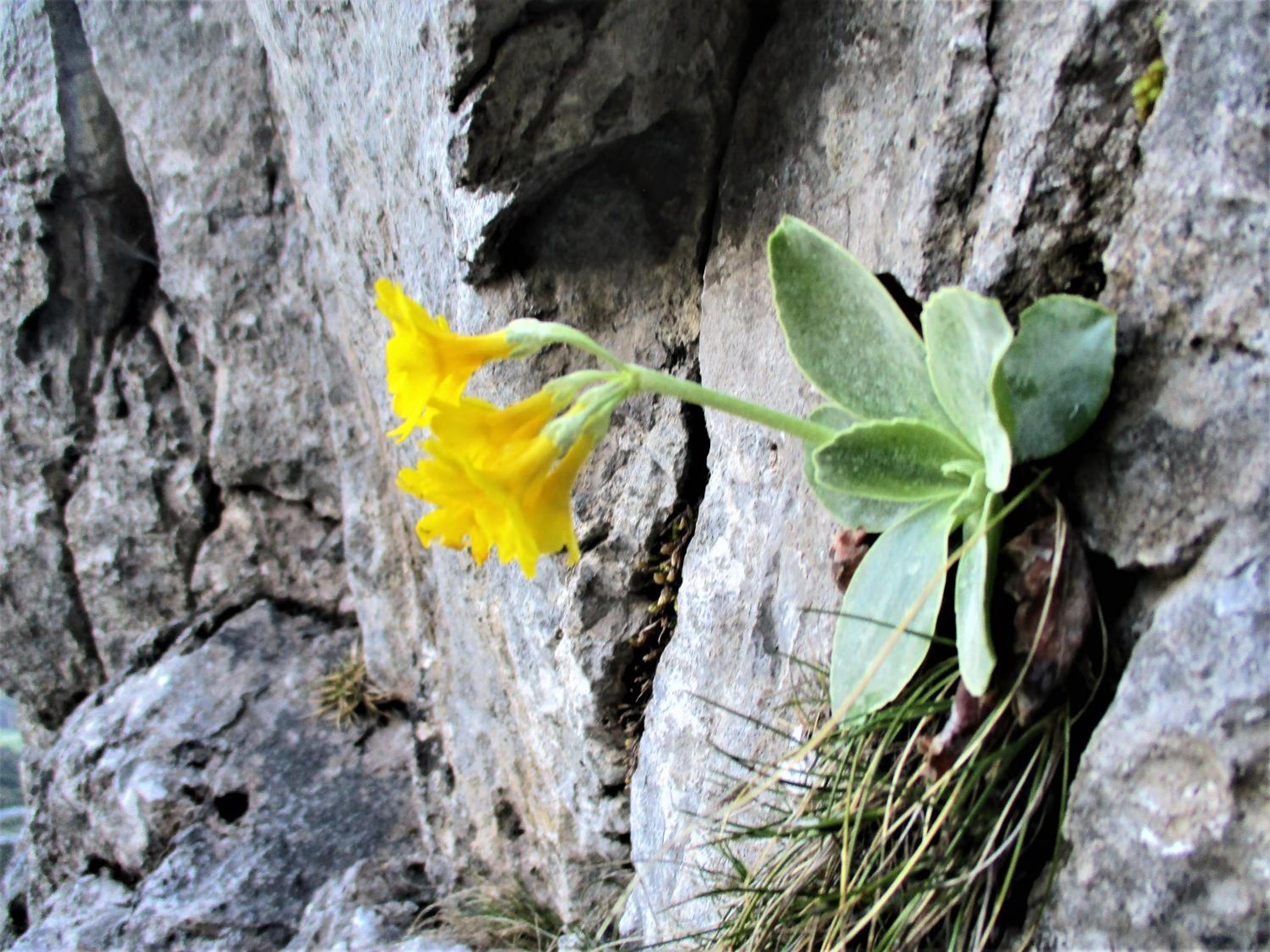Photo 36