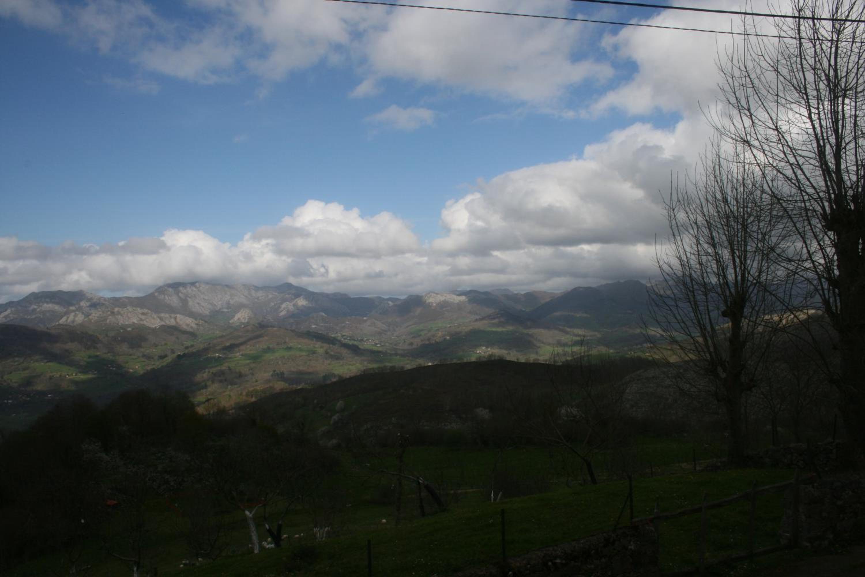 Photo 39