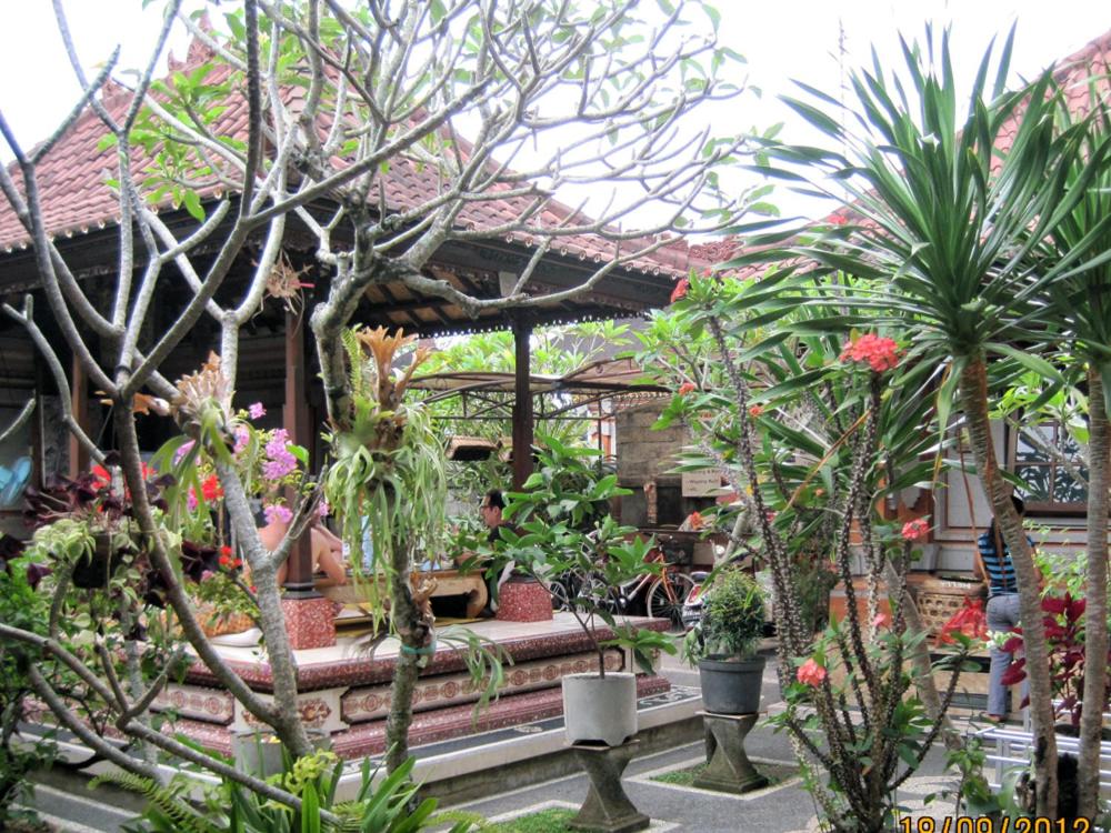 Photo 7