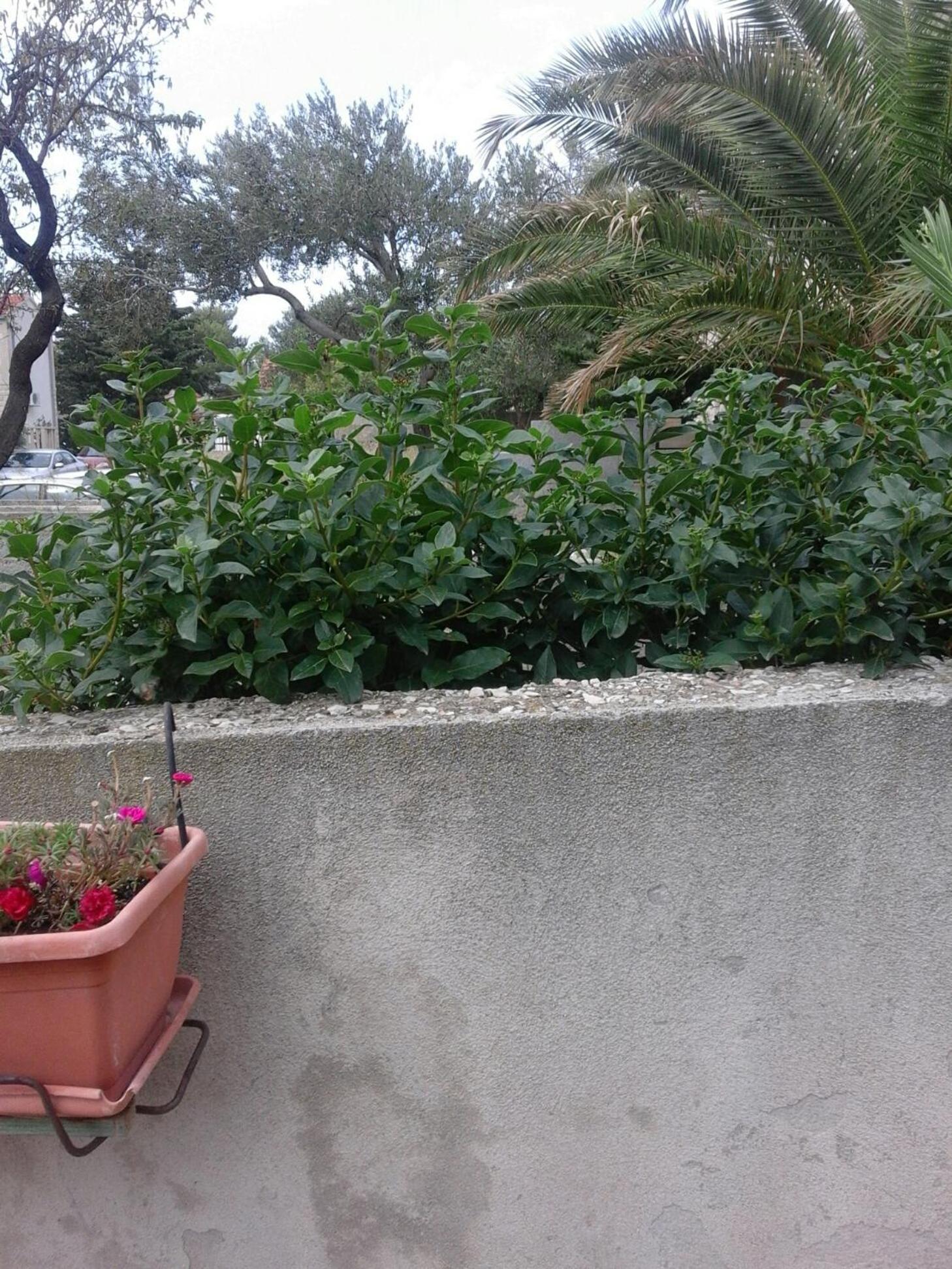Photo 30