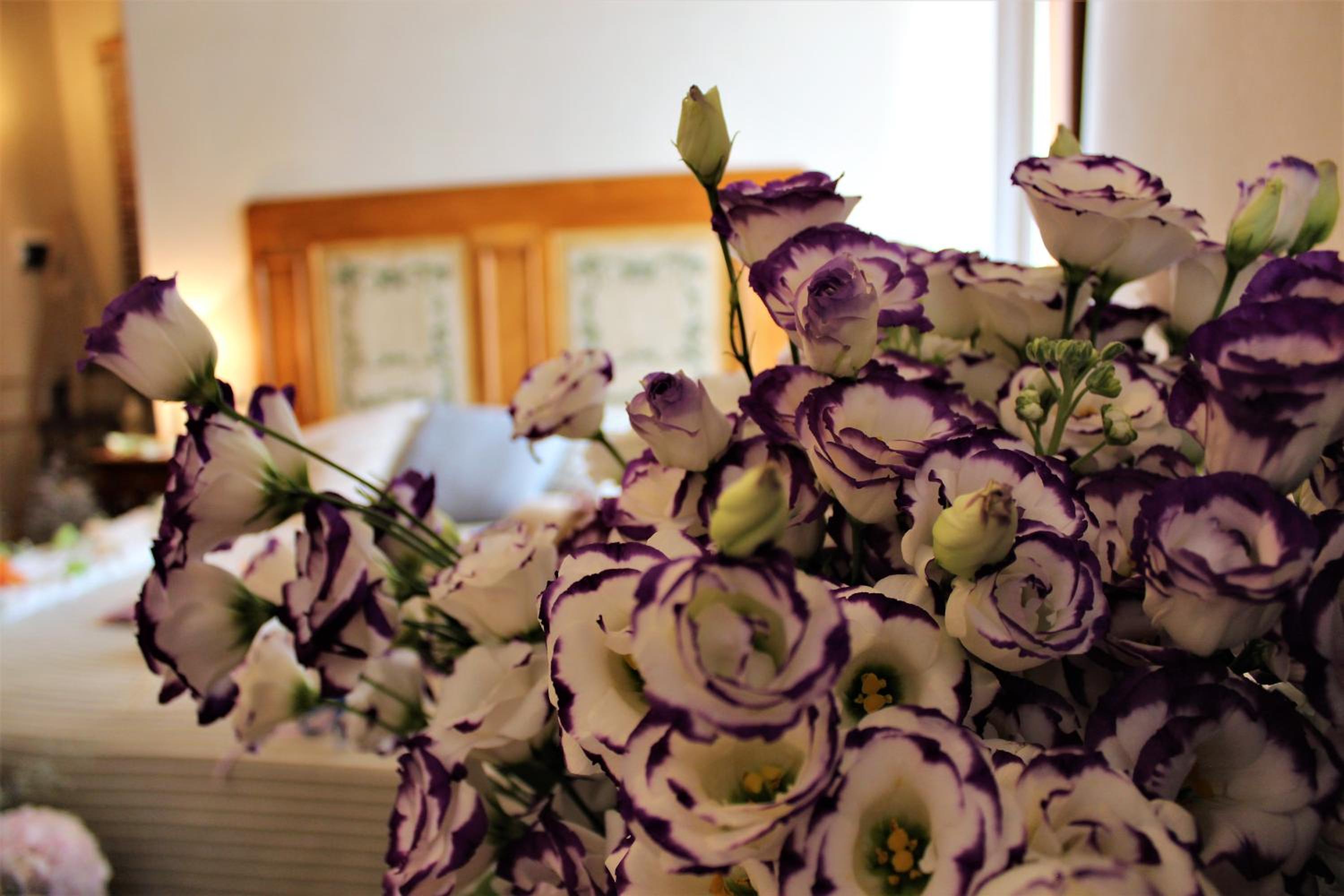 La Cantina Relais - Fattoria Il Cipresso