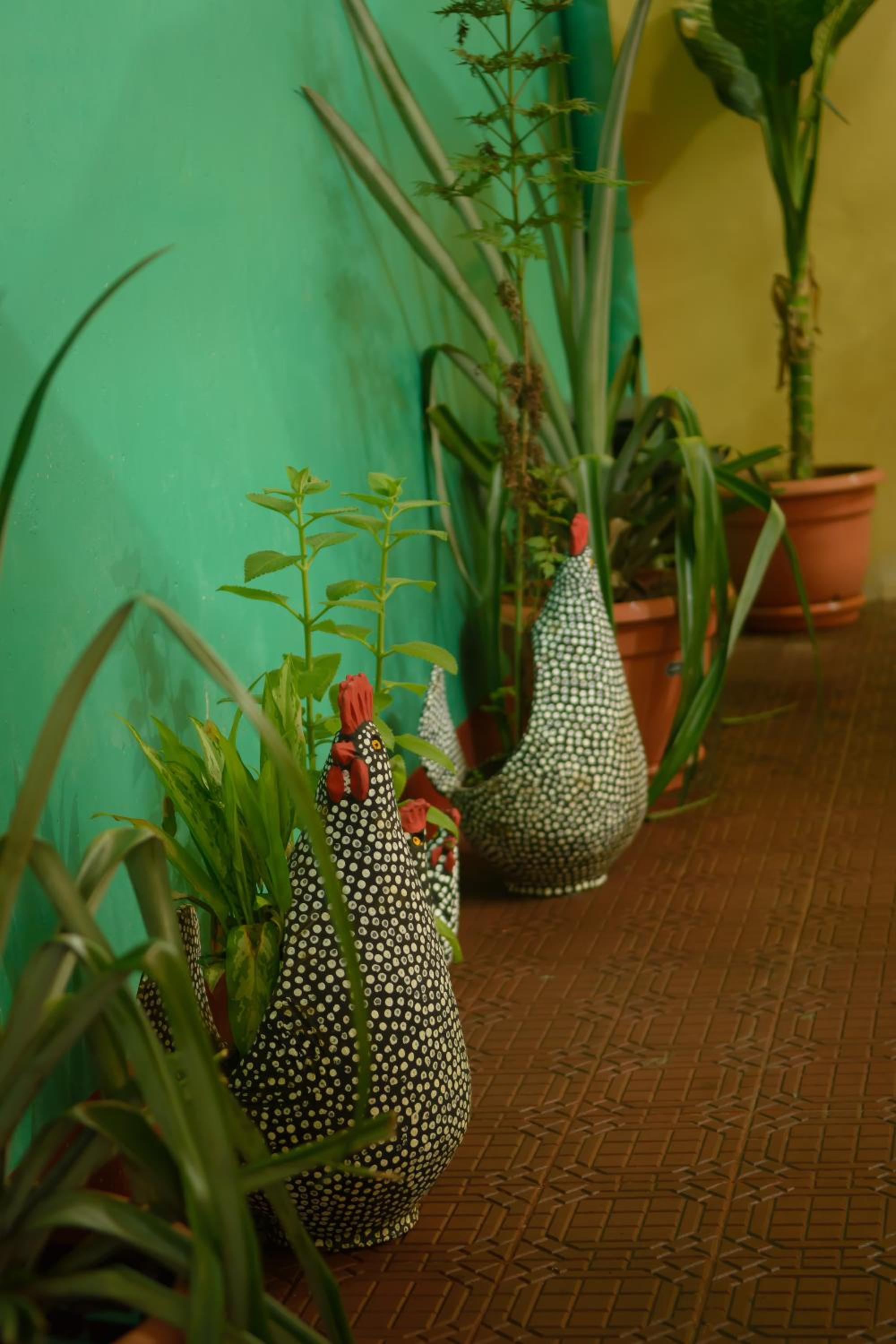 Hostal Fachente